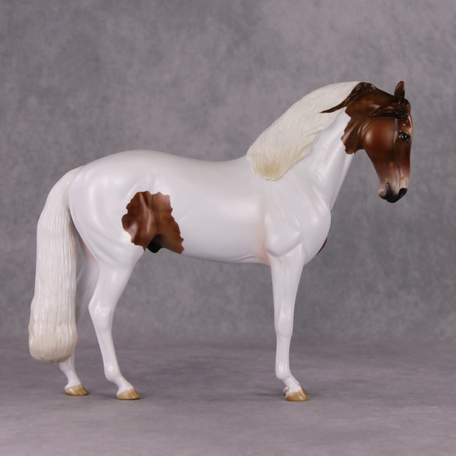 Igon OOAK Medicine Hat Andalusian By Angela Marleau HS24