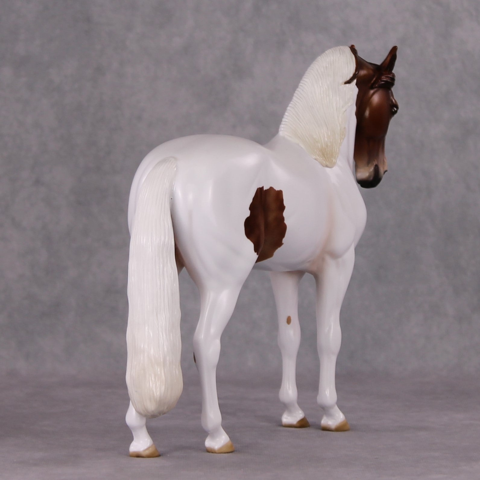 Igon OOAK Medicine Hat Andalusian By Angela Marleau HS24