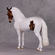 Igon OOAK Medicine Hat Andalusian By Angela Marleau HS24