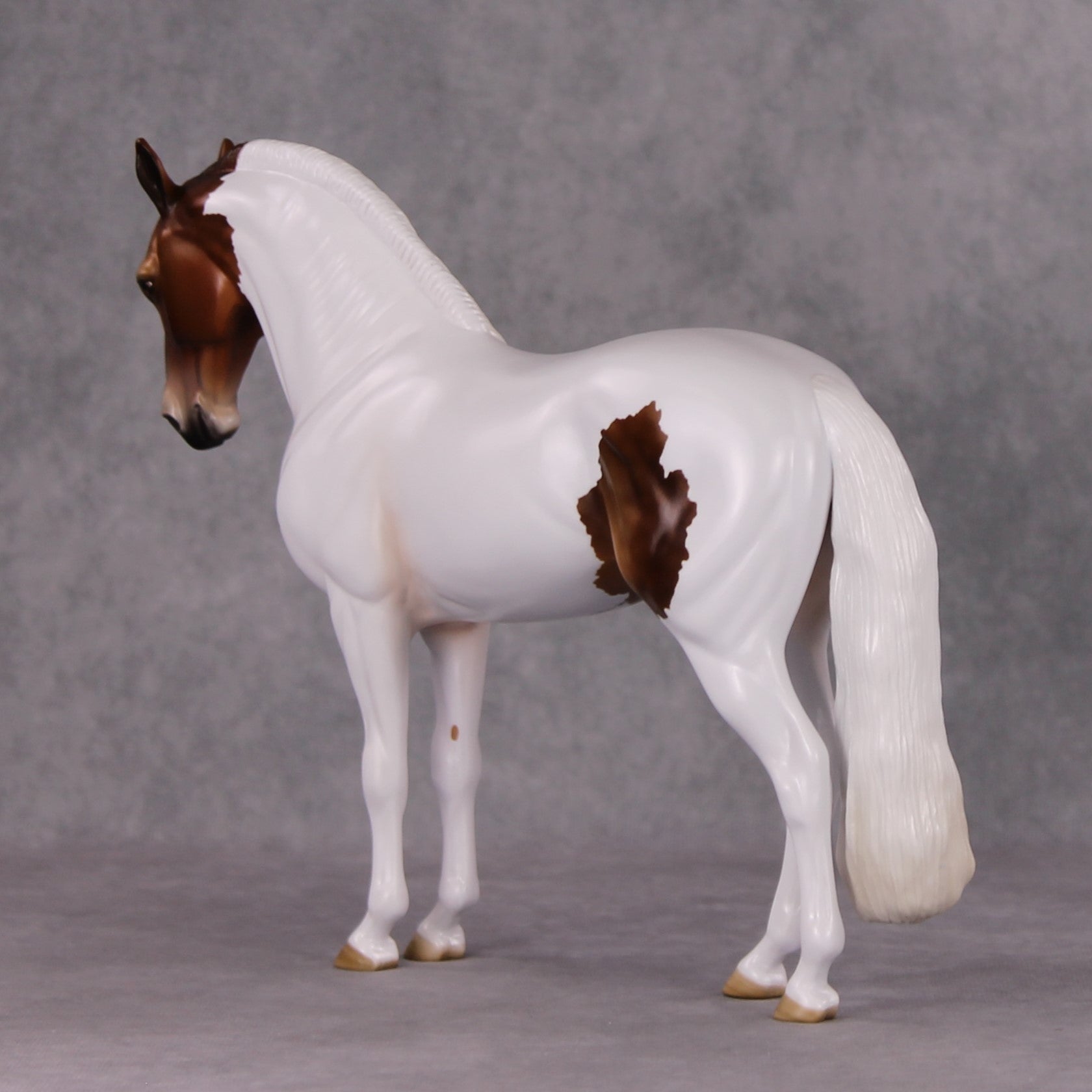Igon OOAK Medicine Hat Andalusian By Angela Marleau HS24
