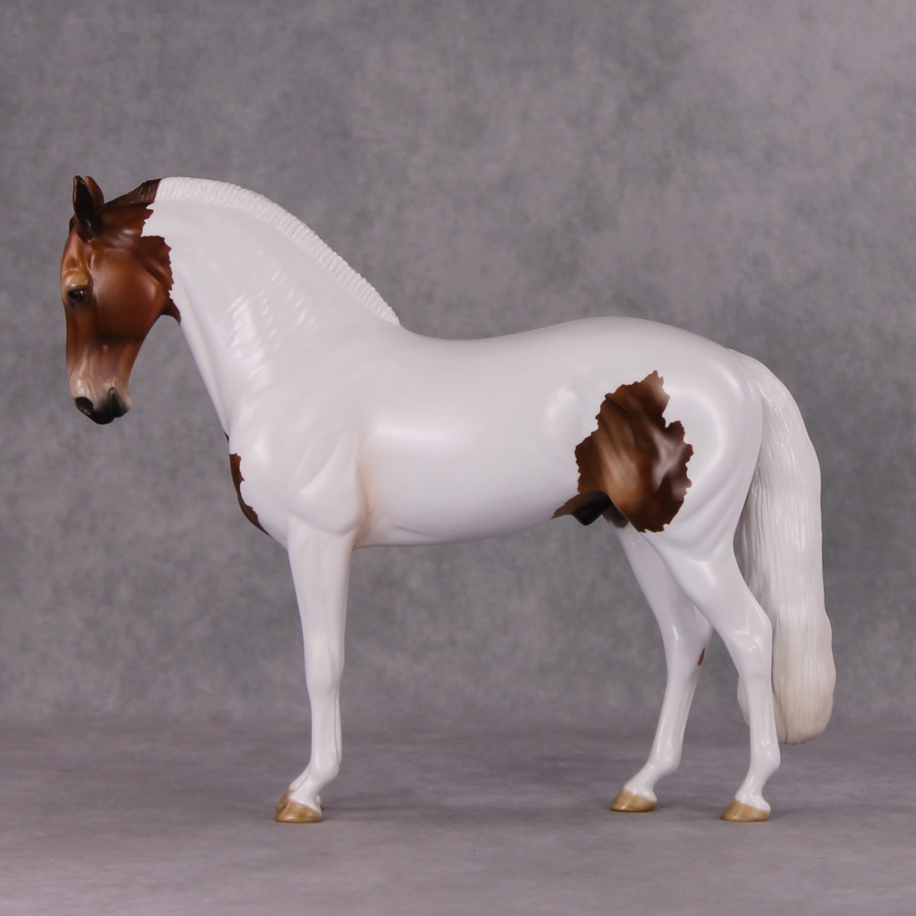 Igon OOAK Medicine Hat Andalusian By Angela Marleau HS24