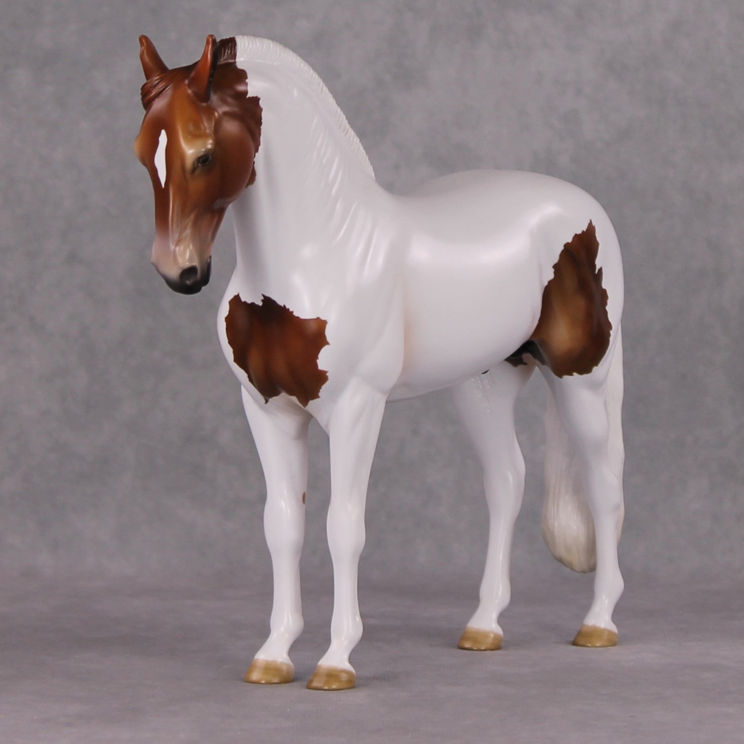 Igon OOAK Medicine Hat Andalusian By Angela Marleau HS24