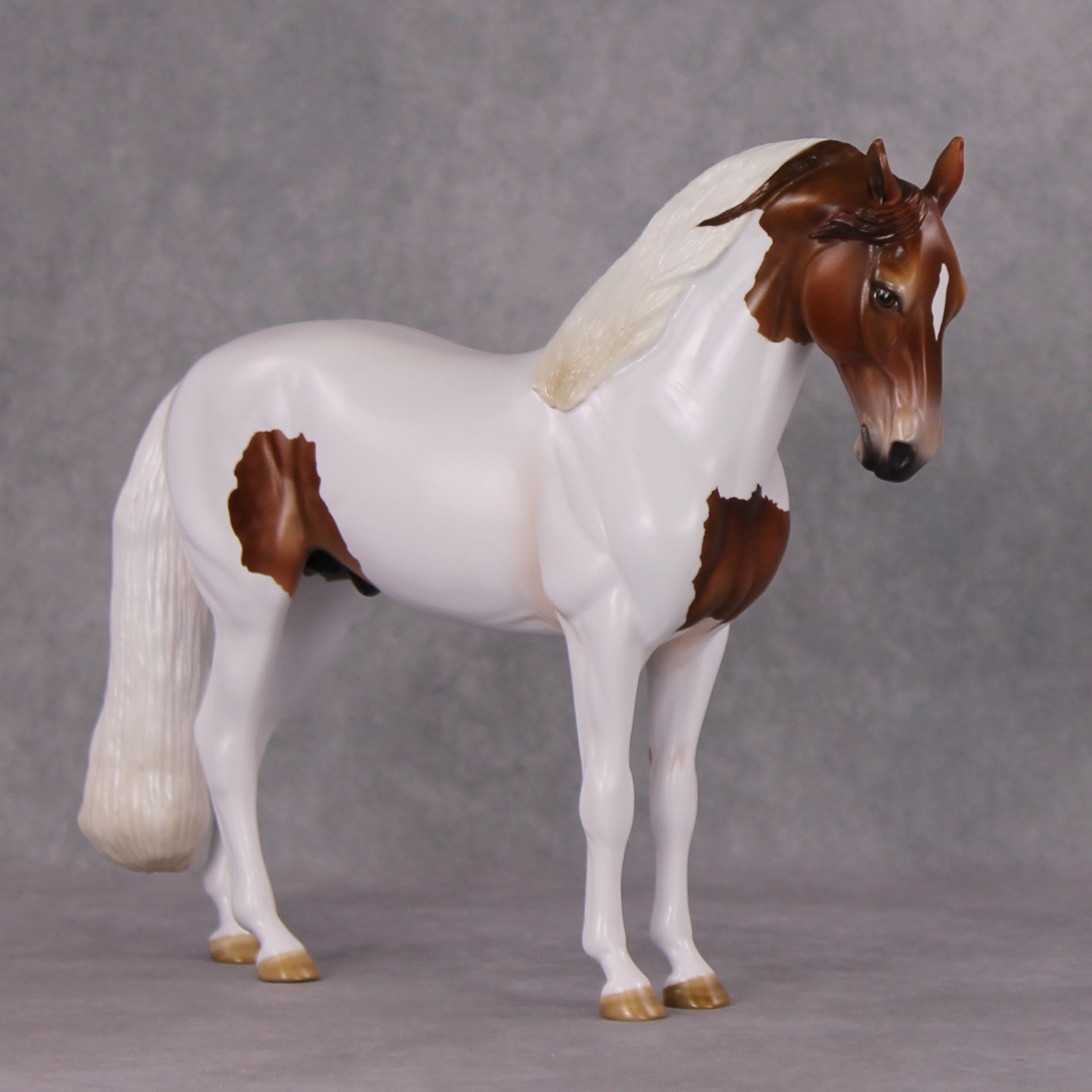 Igon OOAK Medicine Hat Andalusian By Angela Marleau HS24