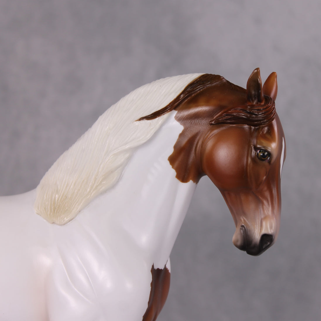 Igon OOAK Medicine Hat Andalusian By Angela Marleau HS24