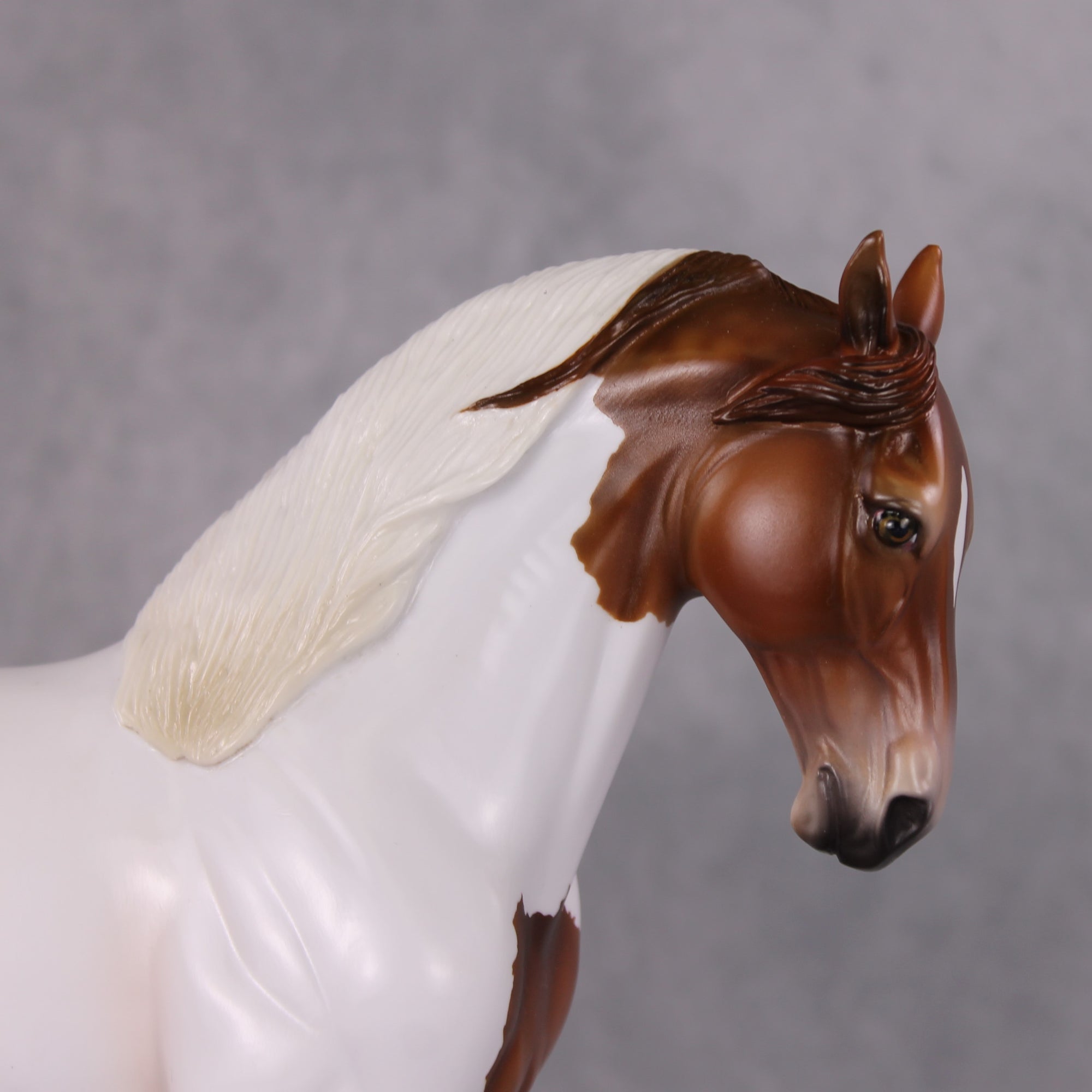 Igon OOAK Medicine Hat Andalusian By Angela Marleau HS24