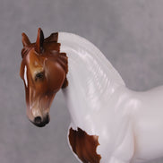 Igon OOAK Medicine Hat Andalusian By Angela Marleau HS24