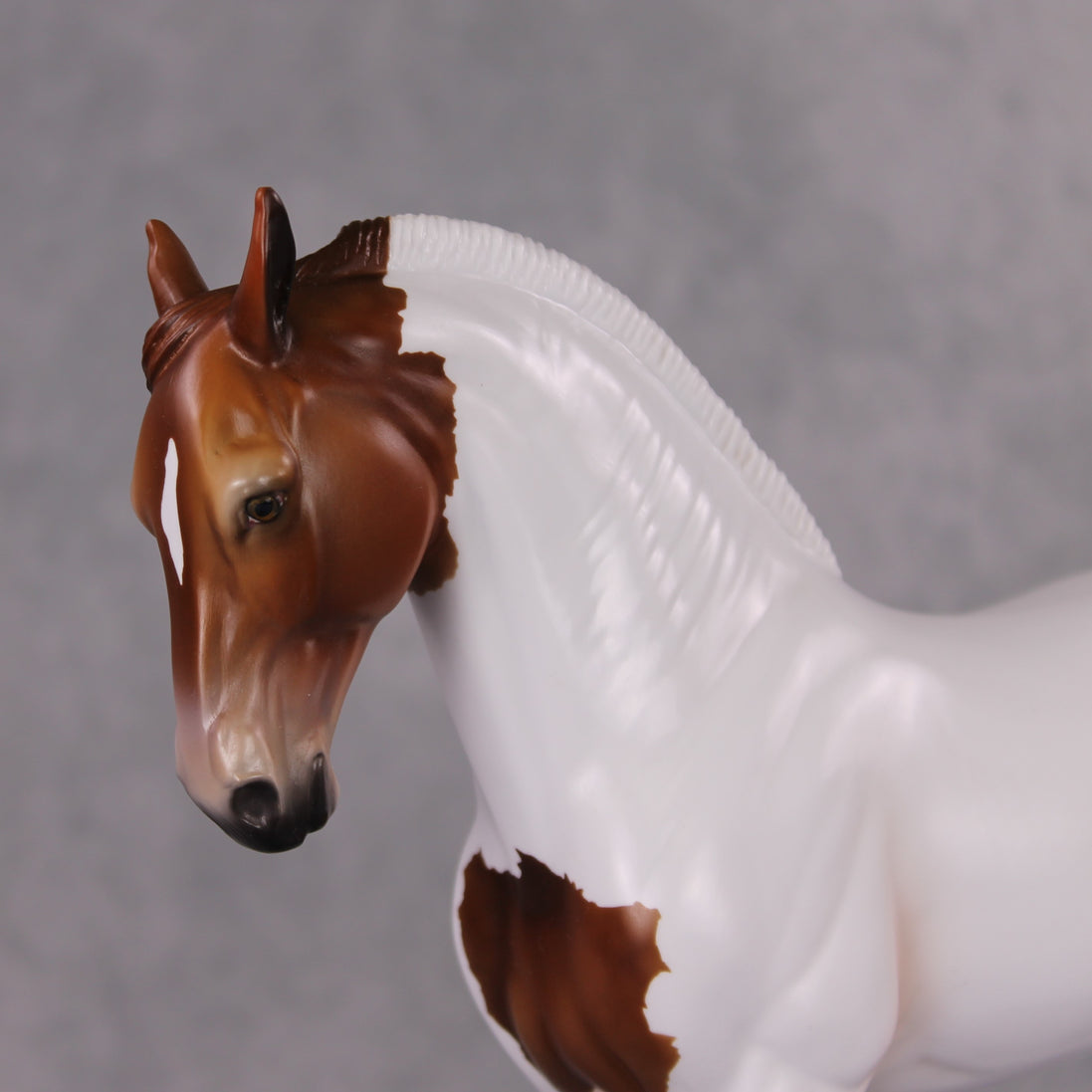 Igon OOAK Medicine Hat Andalusian By Angela Marleau HS24