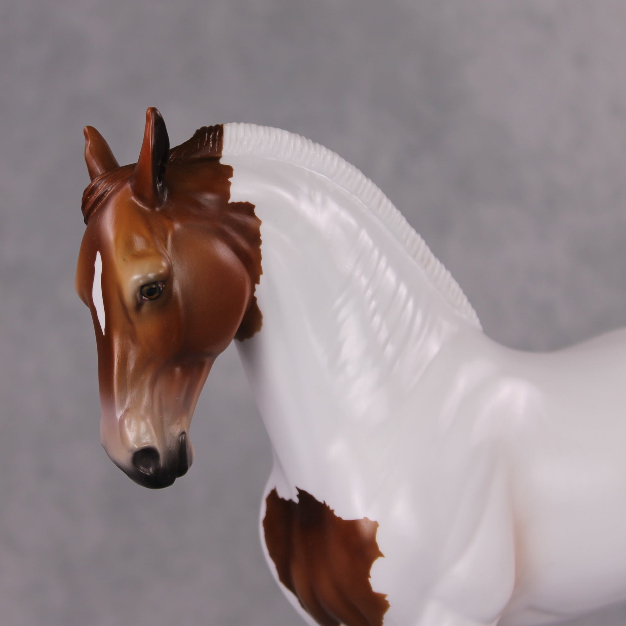 Igon OOAK Medicine Hat Andalusian By Angela Marleau HS24