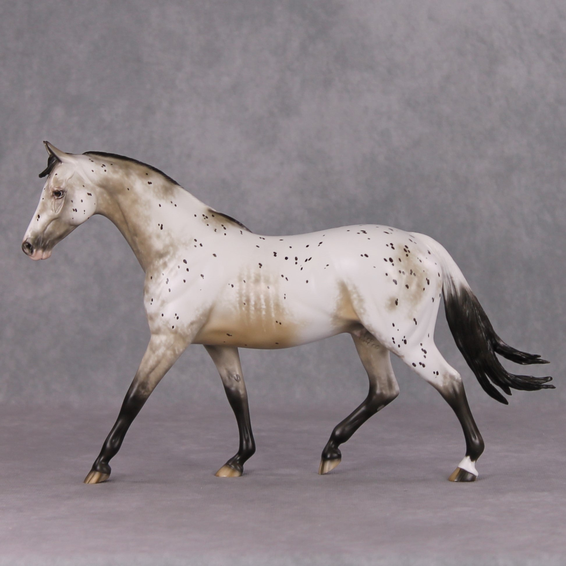 Lutin OOAK Custom Appaloosa Pony By Sheryl Leisure Best Offers 12/17/24