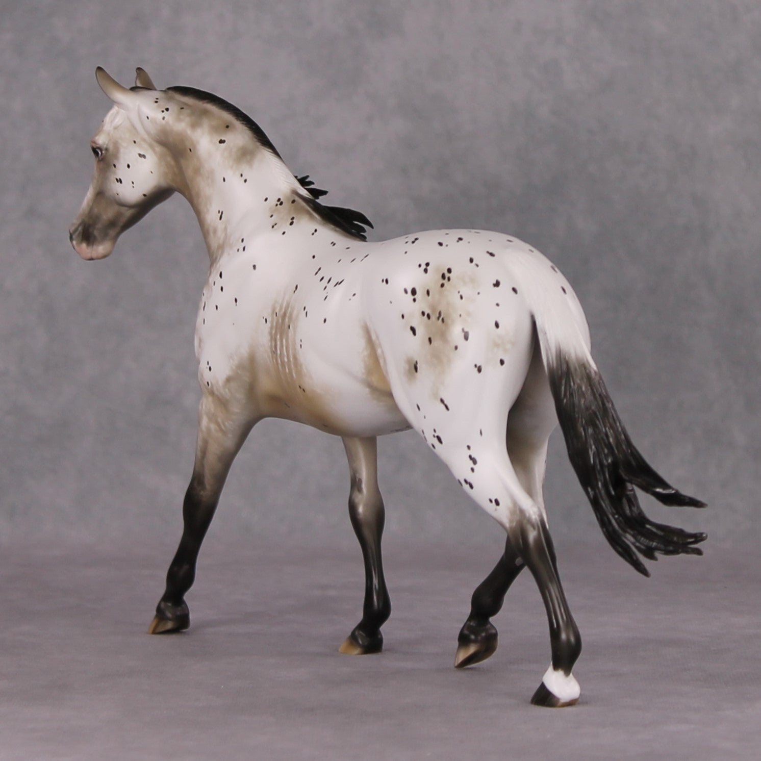 Lutin OOAK Custom Appaloosa Pony By Sheryl Leisure Best Offers 12/17/24