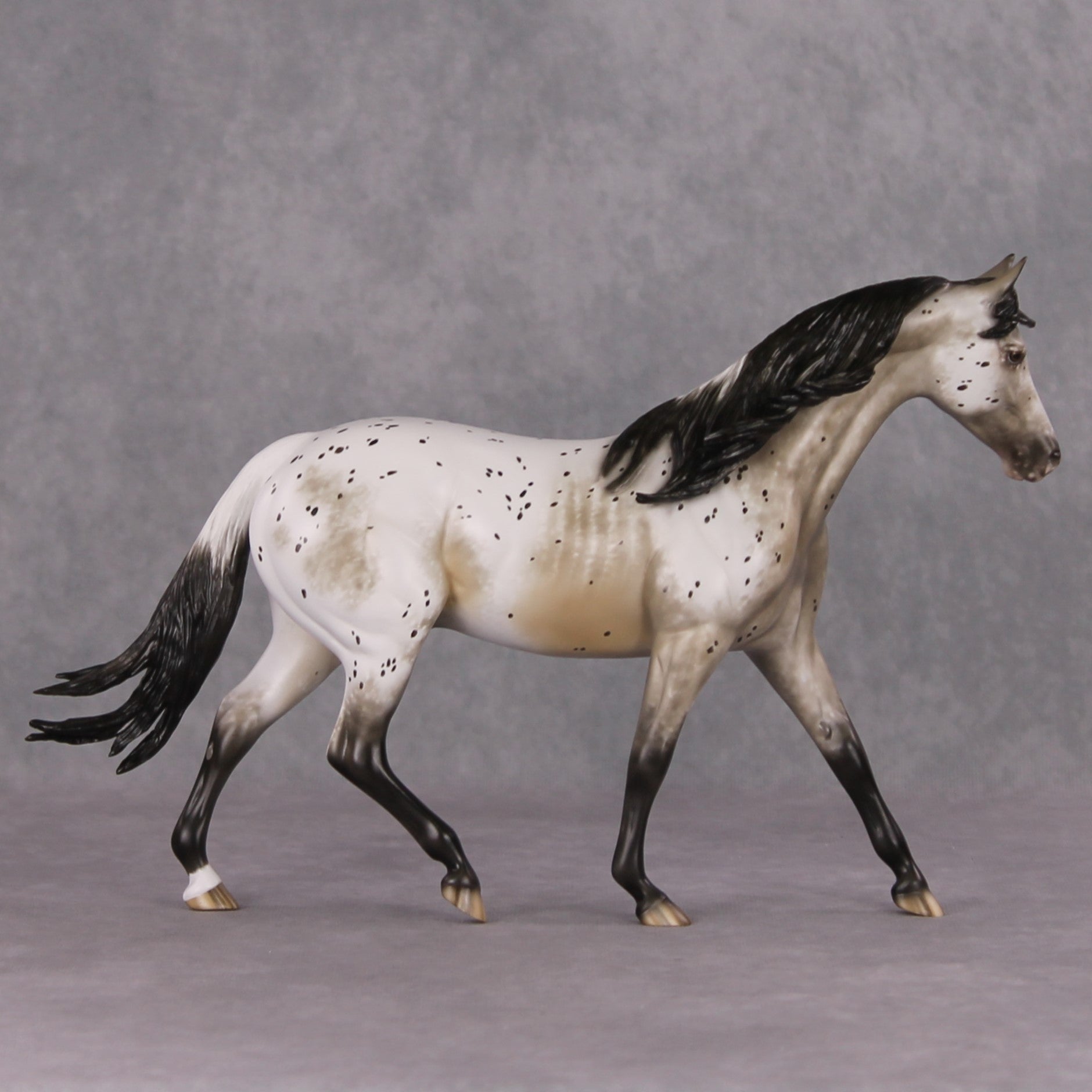 Lutin OOAK Custom Appaloosa Pony By Sheryl Leisure Best Offers 12/17/24