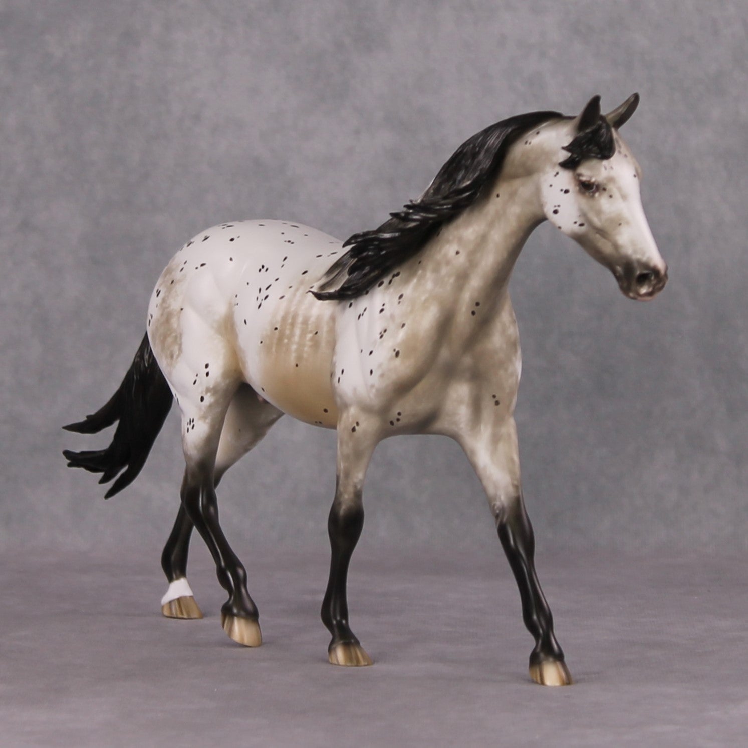 Lutin OOAK Custom Appaloosa Pony By Sheryl Leisure Best Offers 12/17/24
