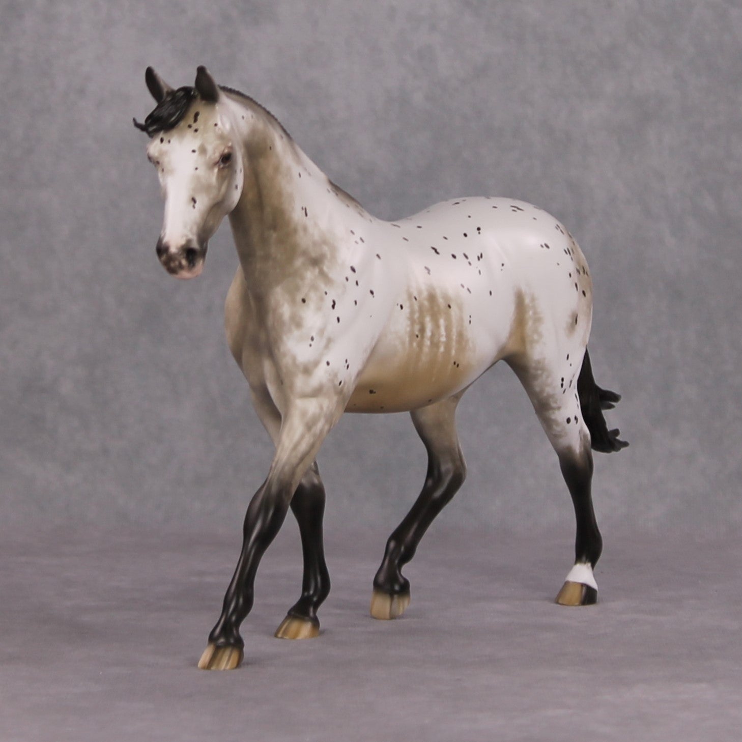 Lutin OOAK Custom Appaloosa Pony By Sheryl Leisure Best Offers 12/17/24
