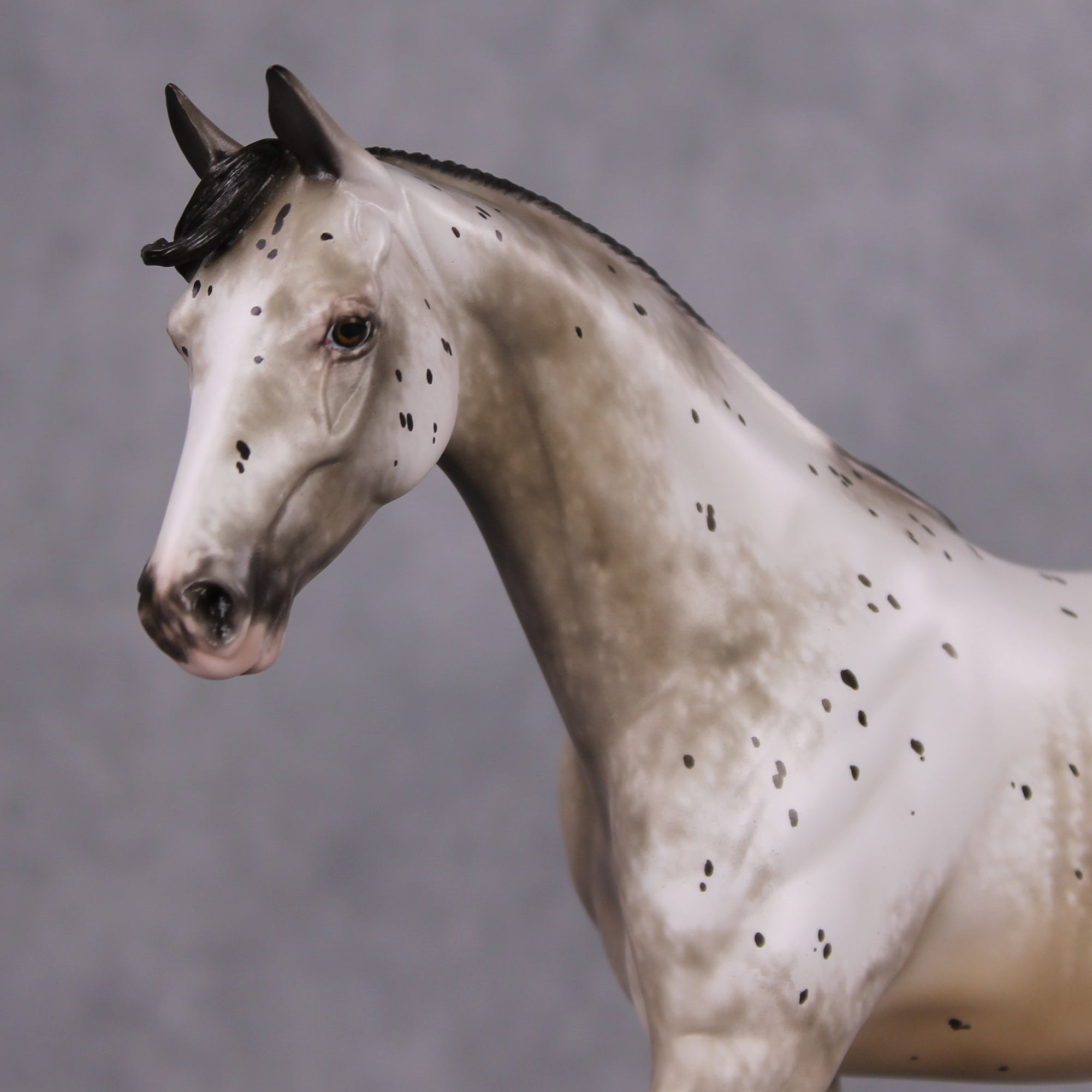 Lutin OOAK Custom Appaloosa Pony By Sheryl Leisure Best Offers 12/17/24