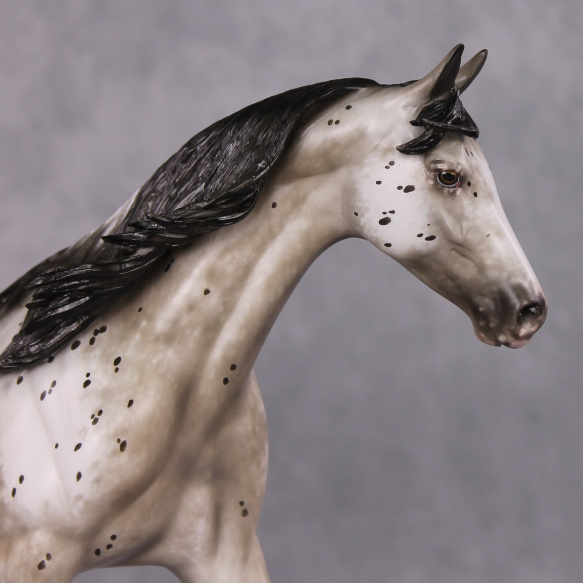 Lutin OOAK Custom Appaloosa Pony By Sheryl Leisure Best Offers 12/17/24