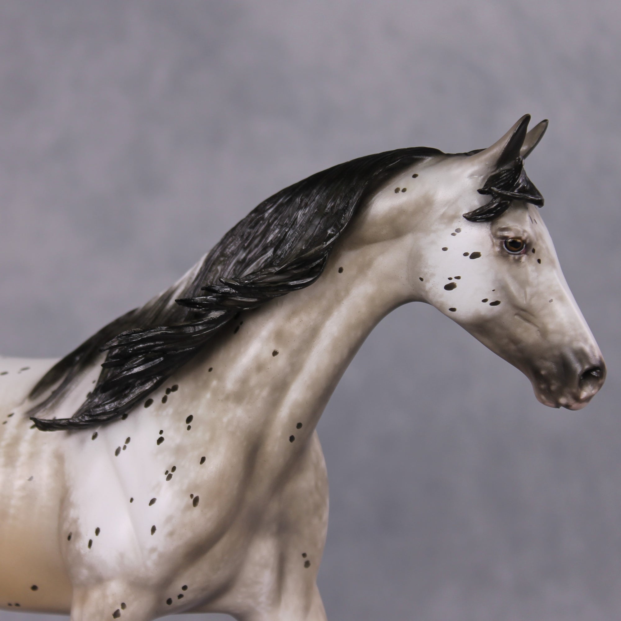 Lutin OOAK Custom Appaloosa Pony By Sheryl Leisure Best Offers 12/17/24