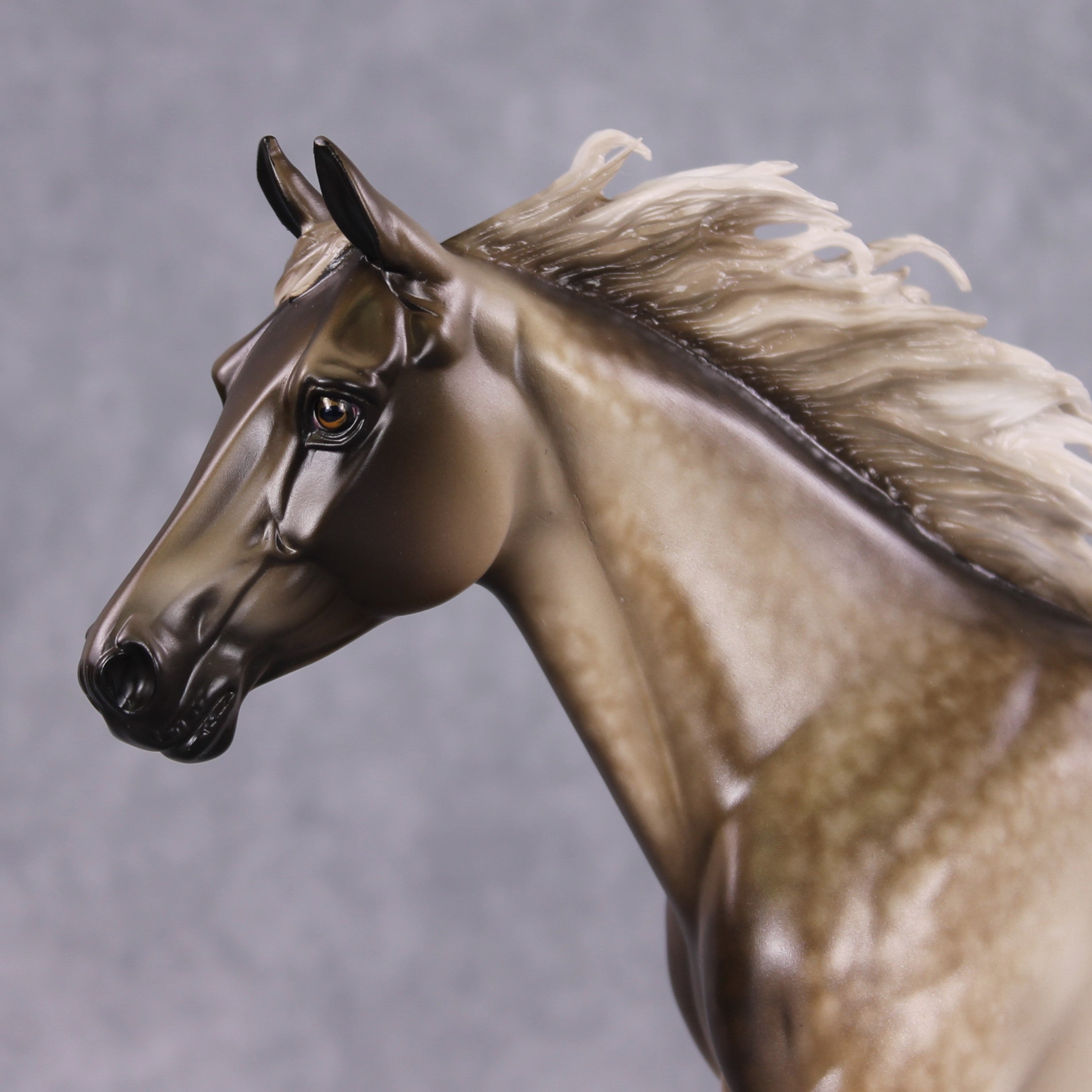 OWNER HORSE ★DEEP SKY Deep Sky(JPN) | JBIS-Search