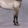 Tomten OOAK Dappled Silver Dun ISH By Sheryl Leisure Best Offers 12/17/24