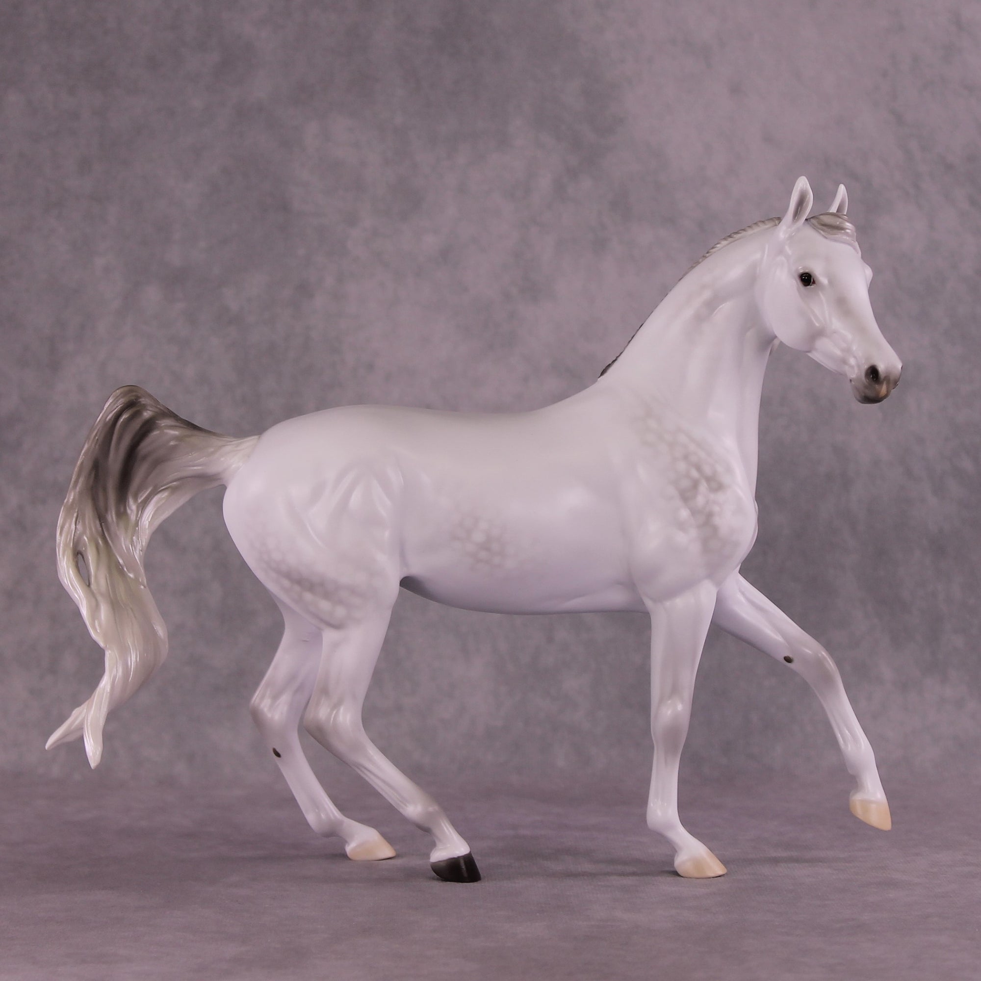 &quot;Stardust&quot; OOAK FCM Arab Mare by Ellen Robbins EQ25 Auction 07/15/25