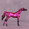 Donna&#39;s Treat LE-5 Chip Arabian by Jess Hamill Treat Yo Self SCD25