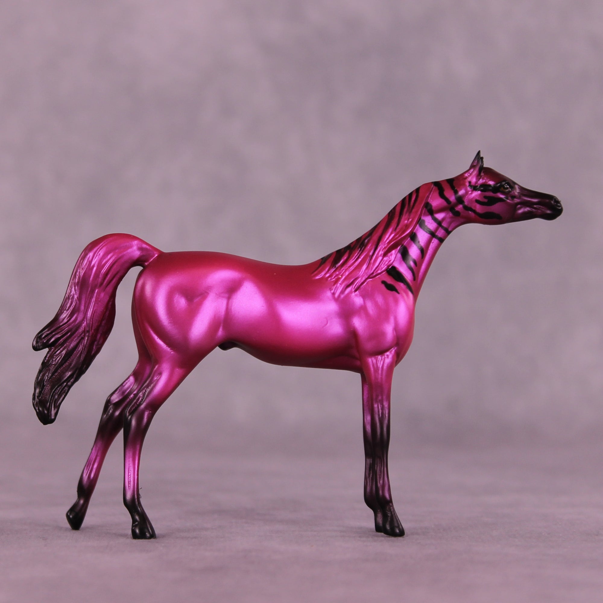 Donna's Treat LE-5 Chip Arabian by Jess Hamill Treat Yo Self SCD25