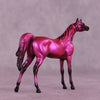 Donna&#39;s Treat LE-5 Chip Arabian by Jess Hamill Treat Yo Self SCD25