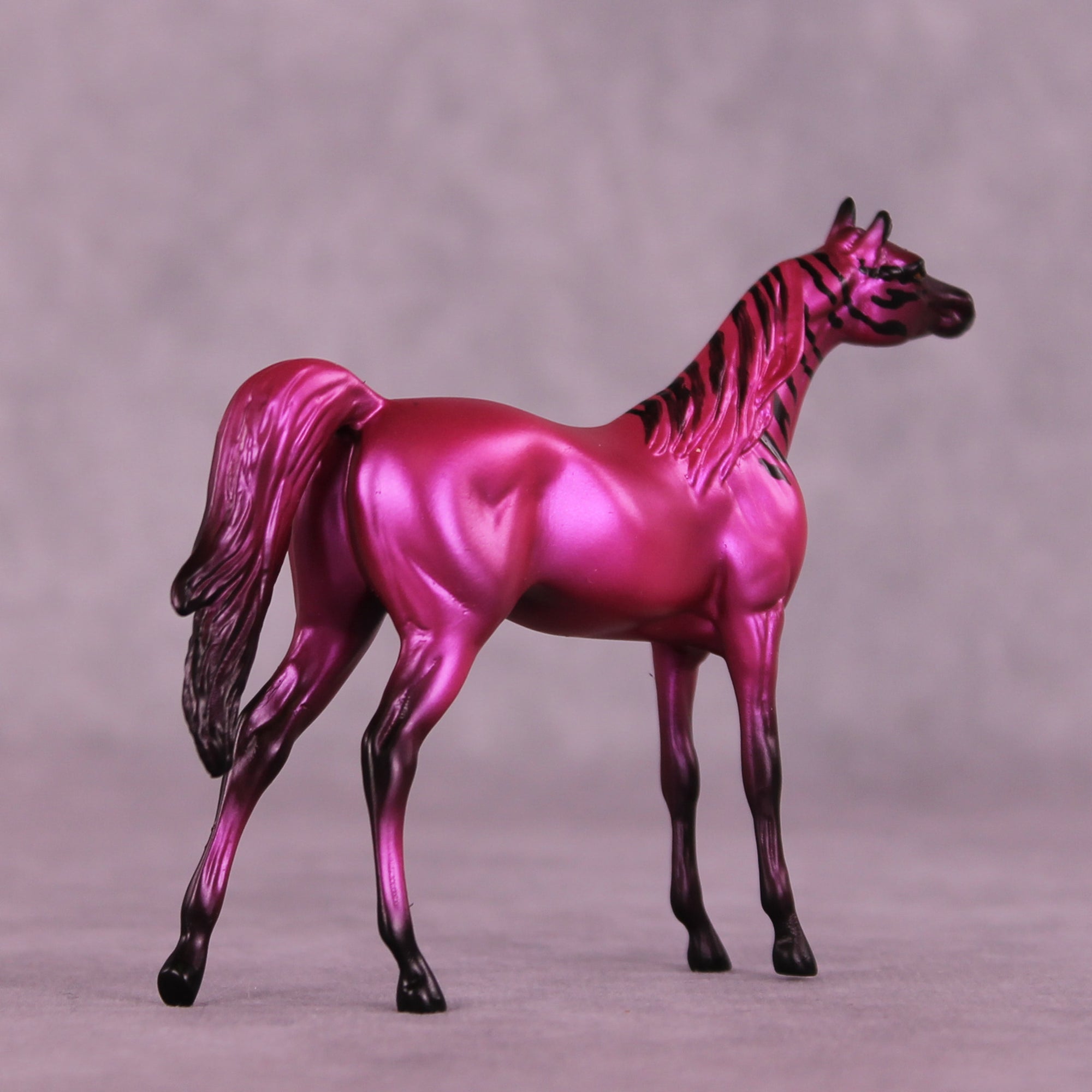 Donna's Treat LE-5 Chip Arabian by Jess Hamill Treat Yo Self SCD25