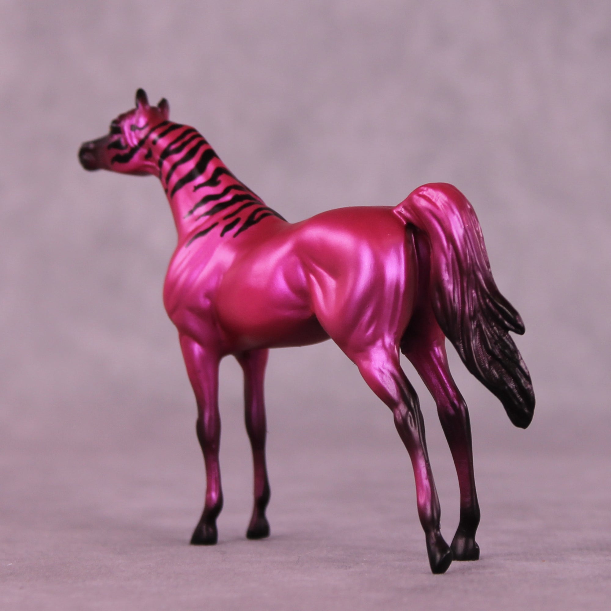 Donna's Treat LE-5 Chip Arabian by Jess Hamill Treat Yo Self SCD25