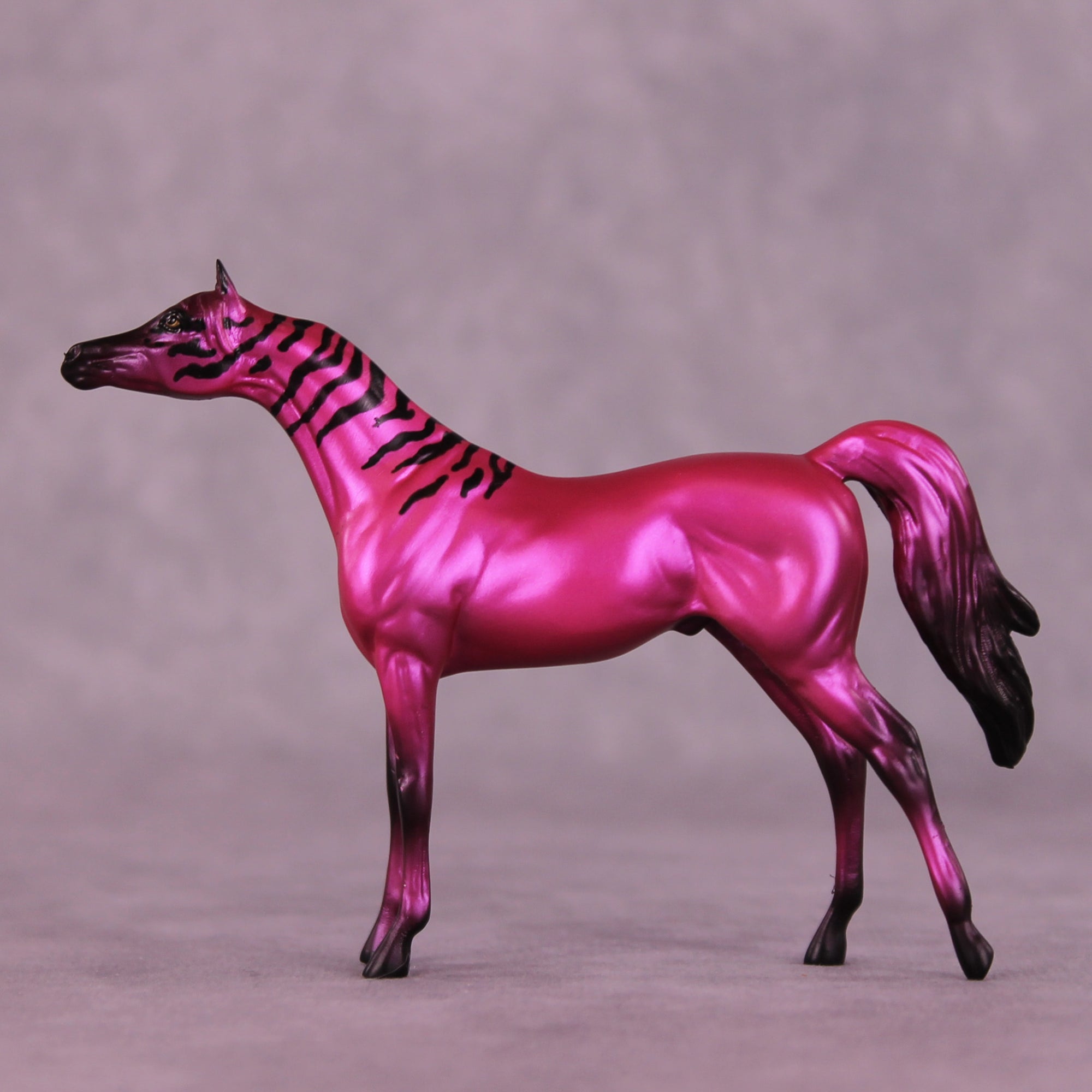 Donna's Treat LE-5 Chip Arabian by Jess Hamill Treat Yo Self SCD25