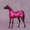 Donna&#39;s Treat LE-5 Chip Arabian by Jess Hamill Treat Yo Self SCD25