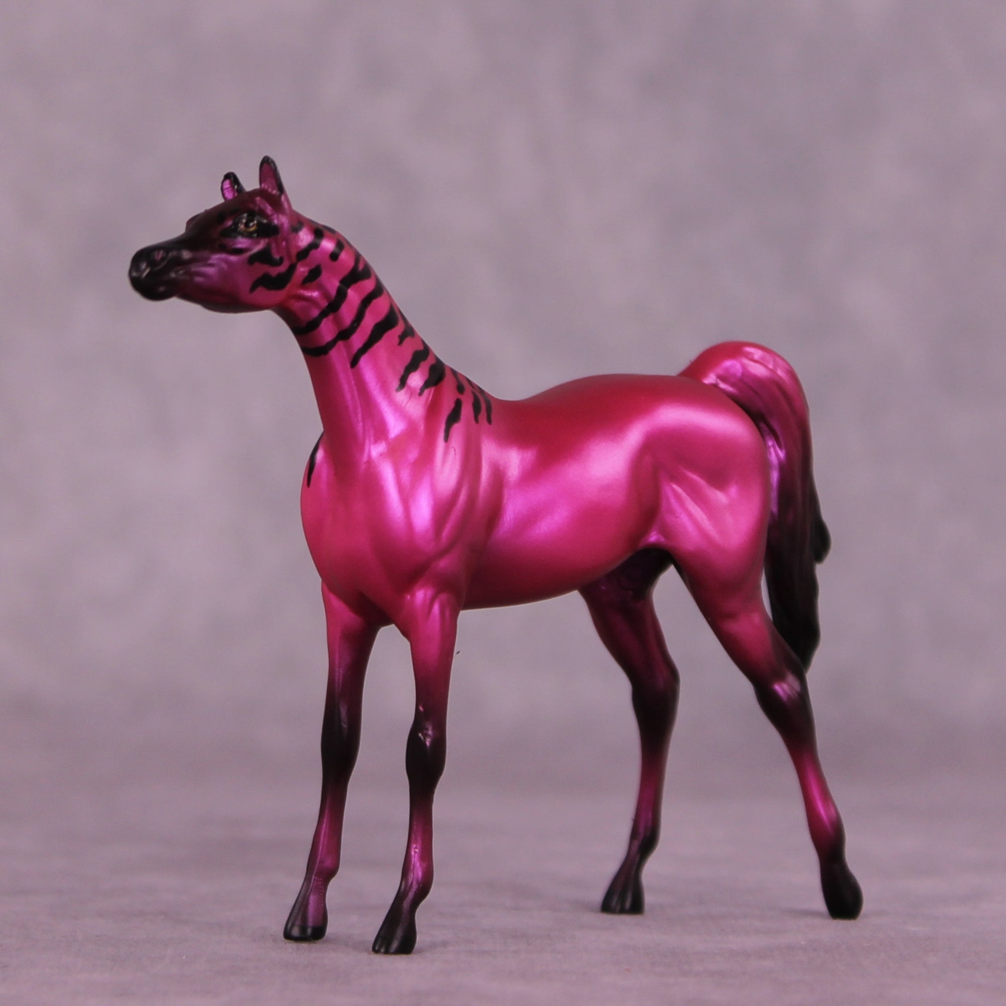 Donna's Treat LE-5 Chip Arabian by Jess Hamill Treat Yo Self SCD25