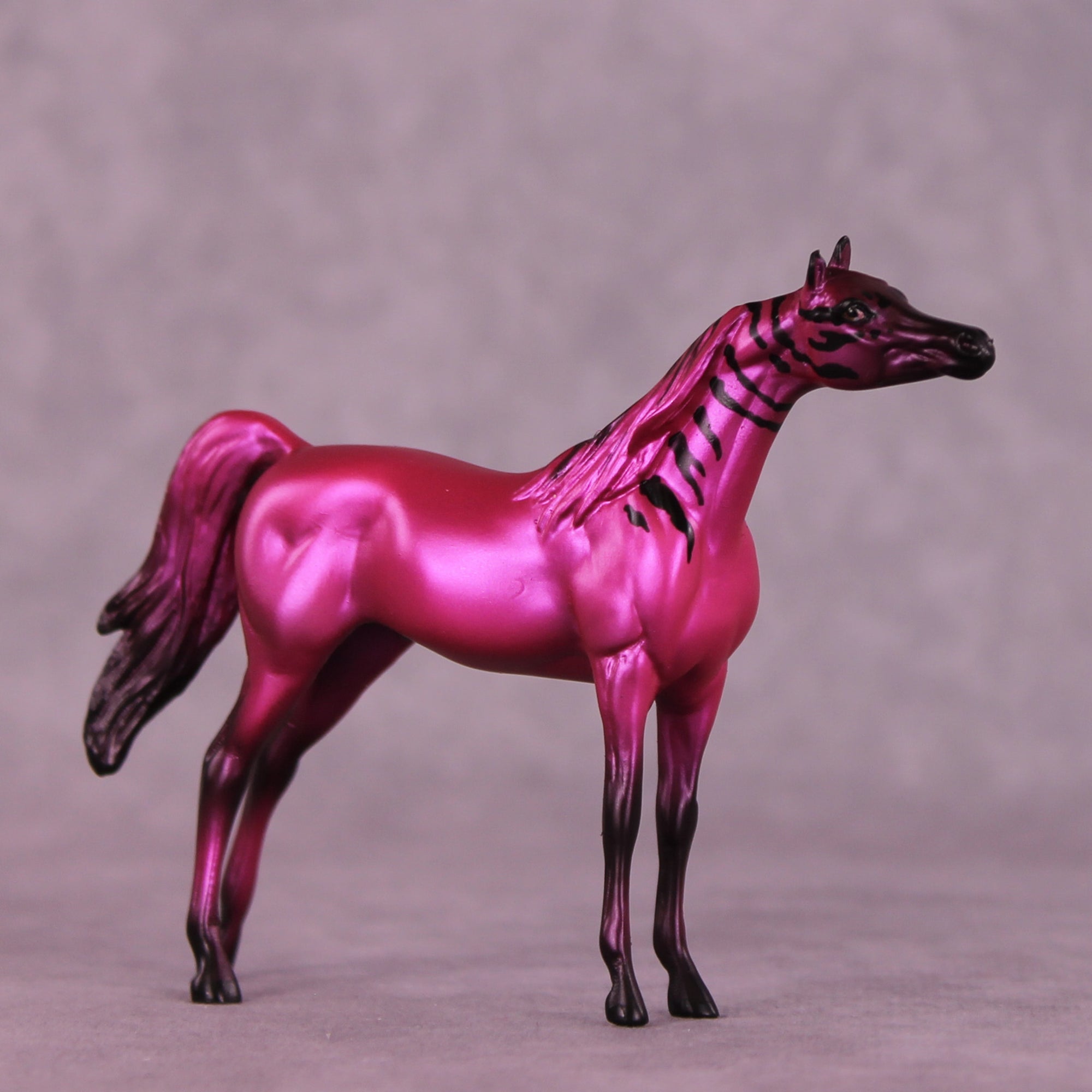 Donna's Treat LE-5 Chip Arabian by Jess Hamill Treat Yo Self SCD25