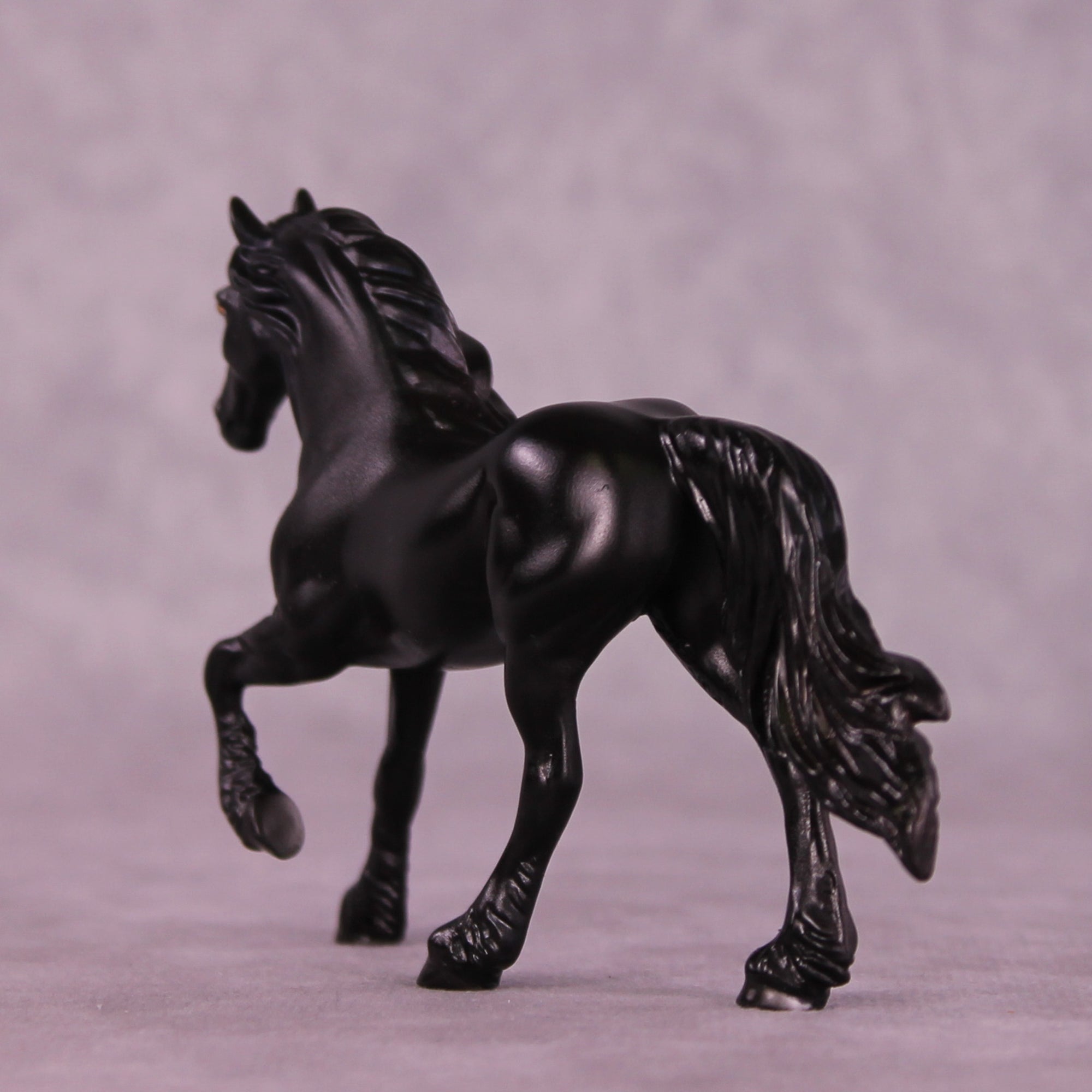 He's Imported LE-5 Chip Friesian by Anna Rieck Treat Yo Self SCD25