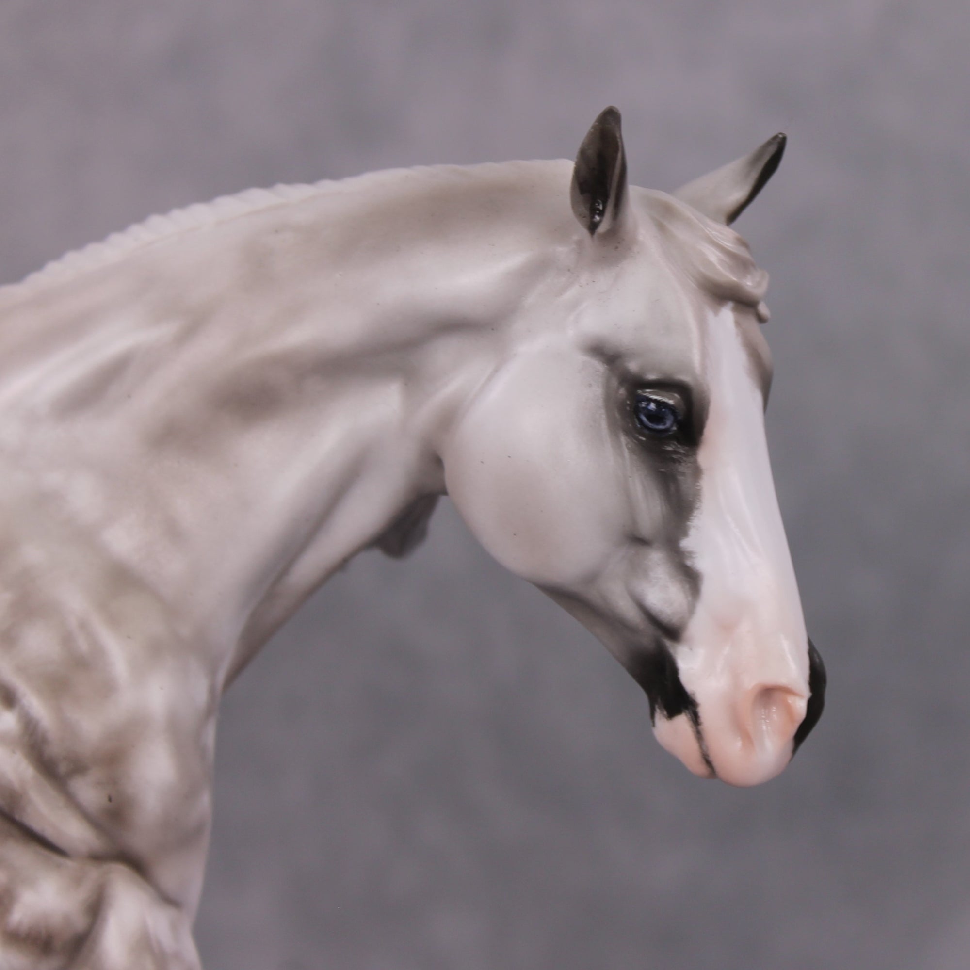 Frederick OOAK Dappled Grey Custom Running Stock Horse By Maggie Jenner- Bennett Best Offers 12/17/24