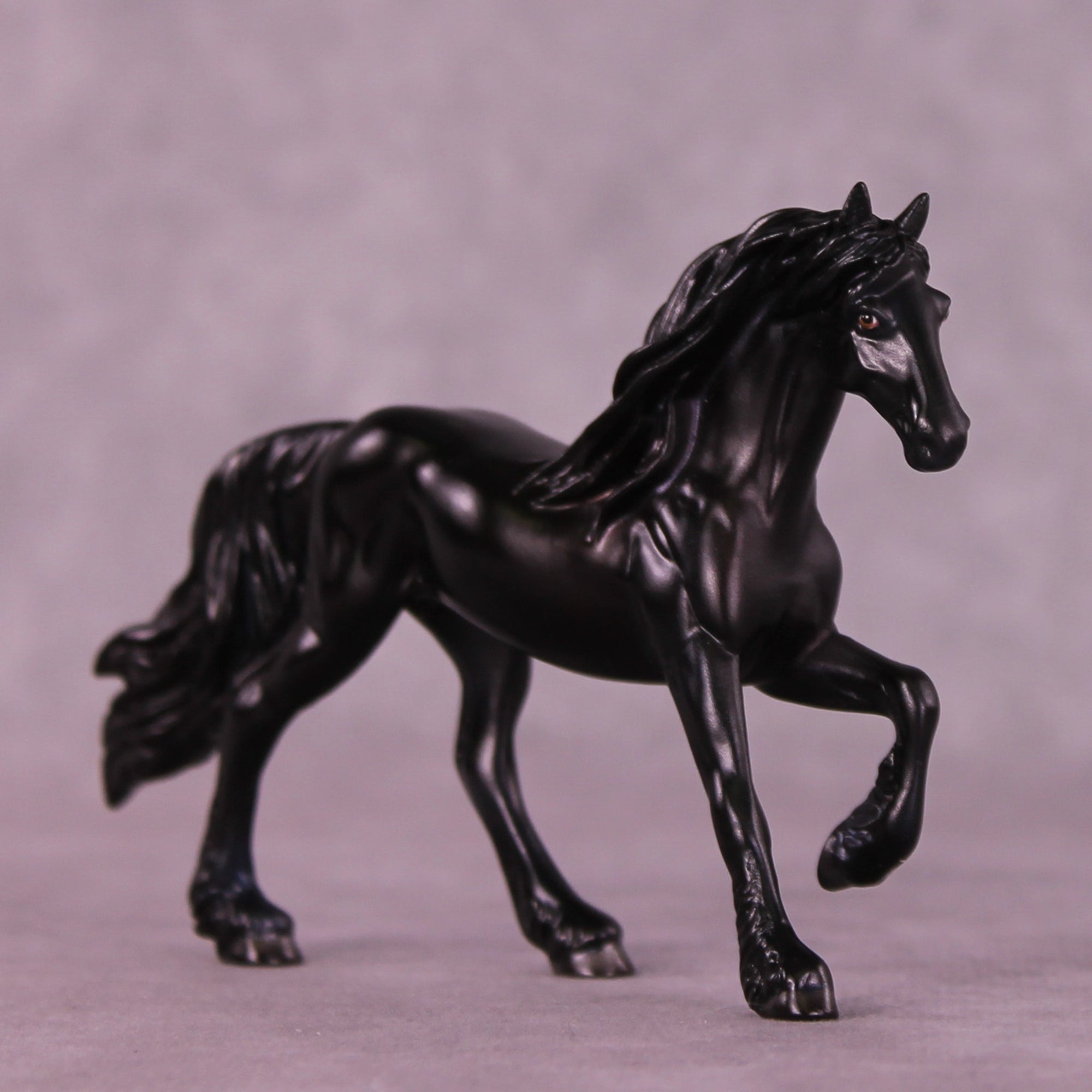 He's Imported LE-5 Chip Friesian by Anna Rieck Treat Yo Self SCD25