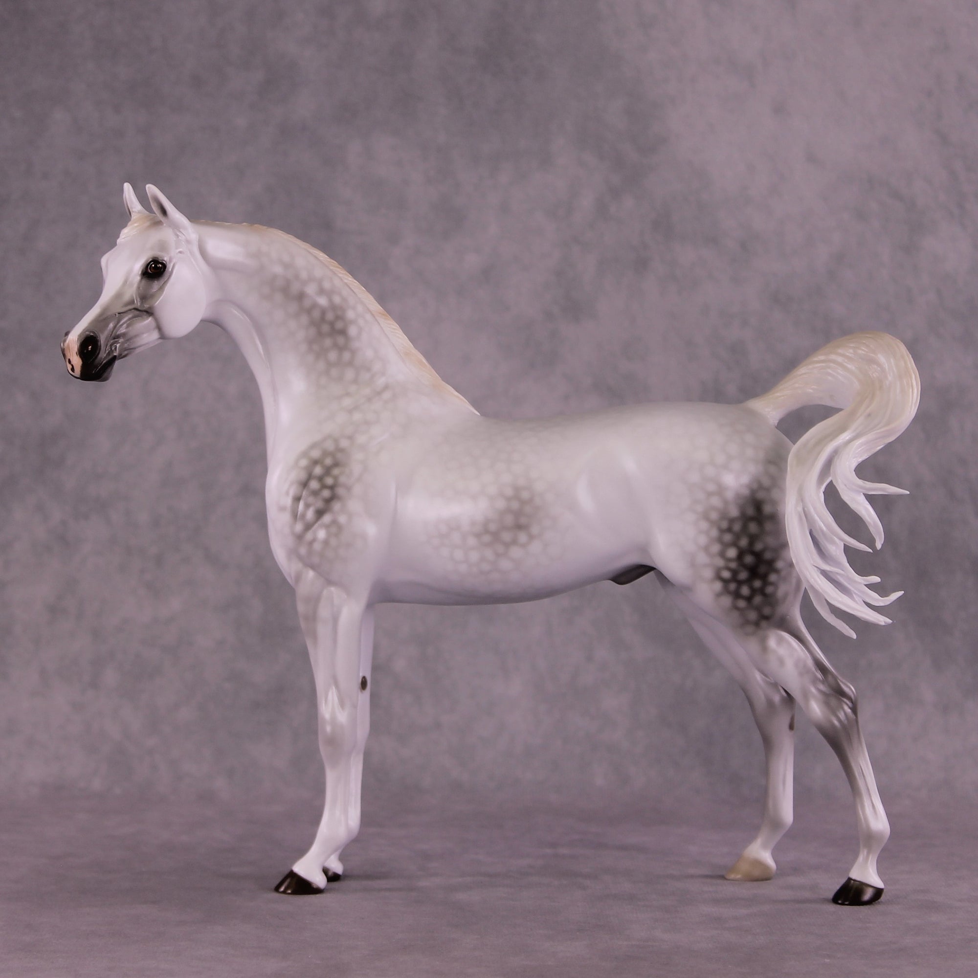 "Moonglow" OOAK FCM Arabian by Ellen Robbins EQ25 Best Offer 07/15/25