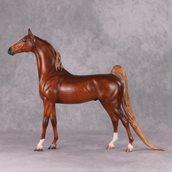 Emphasis OOAK Extreme Custom Arabian Stallion to a Dappled Chestnut Sa ...