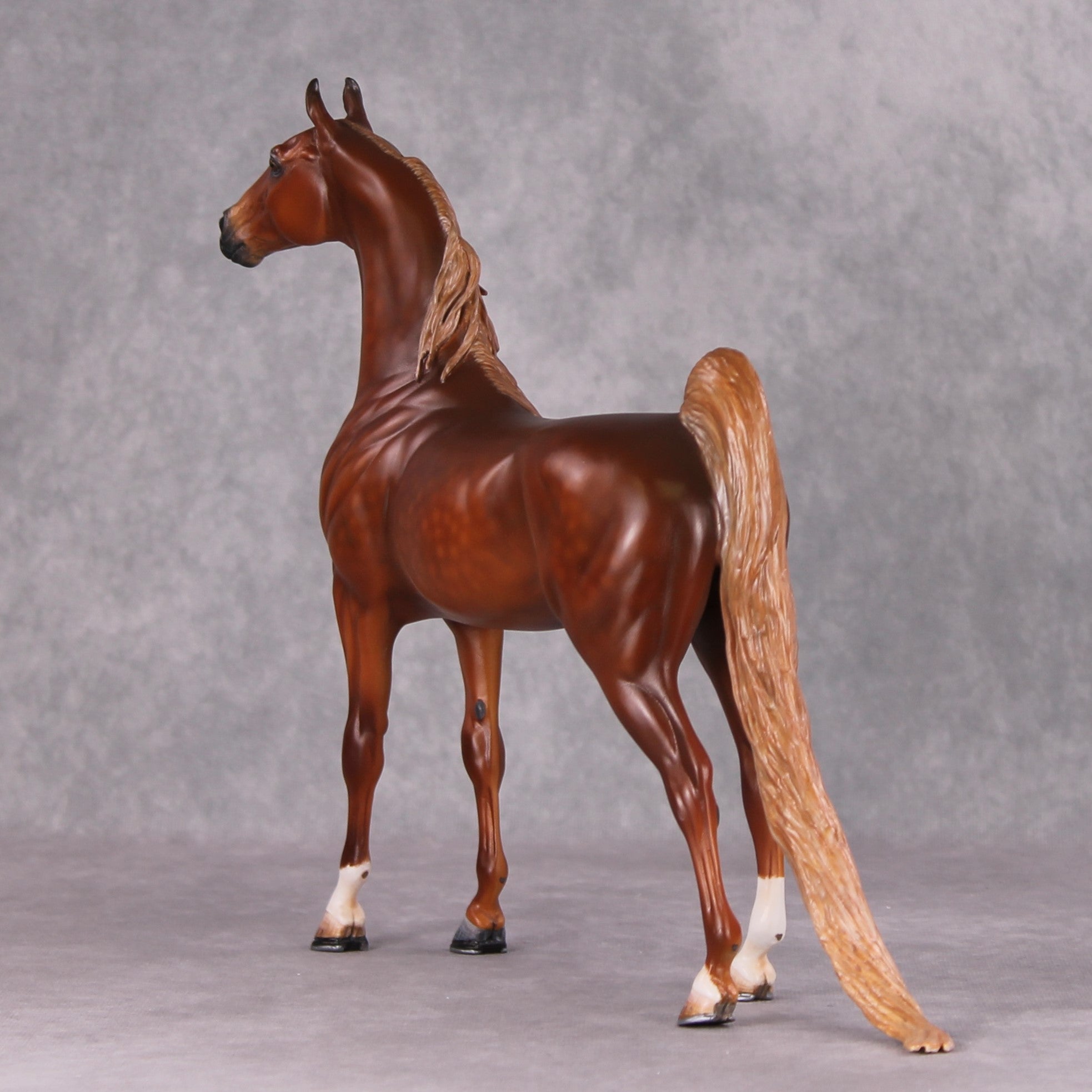 Emphasis OOAK Extreme Custom Arabian Stallion to a Dappled Chestnut Saddlebred By Kylee Parks Best Offers 12/17/24