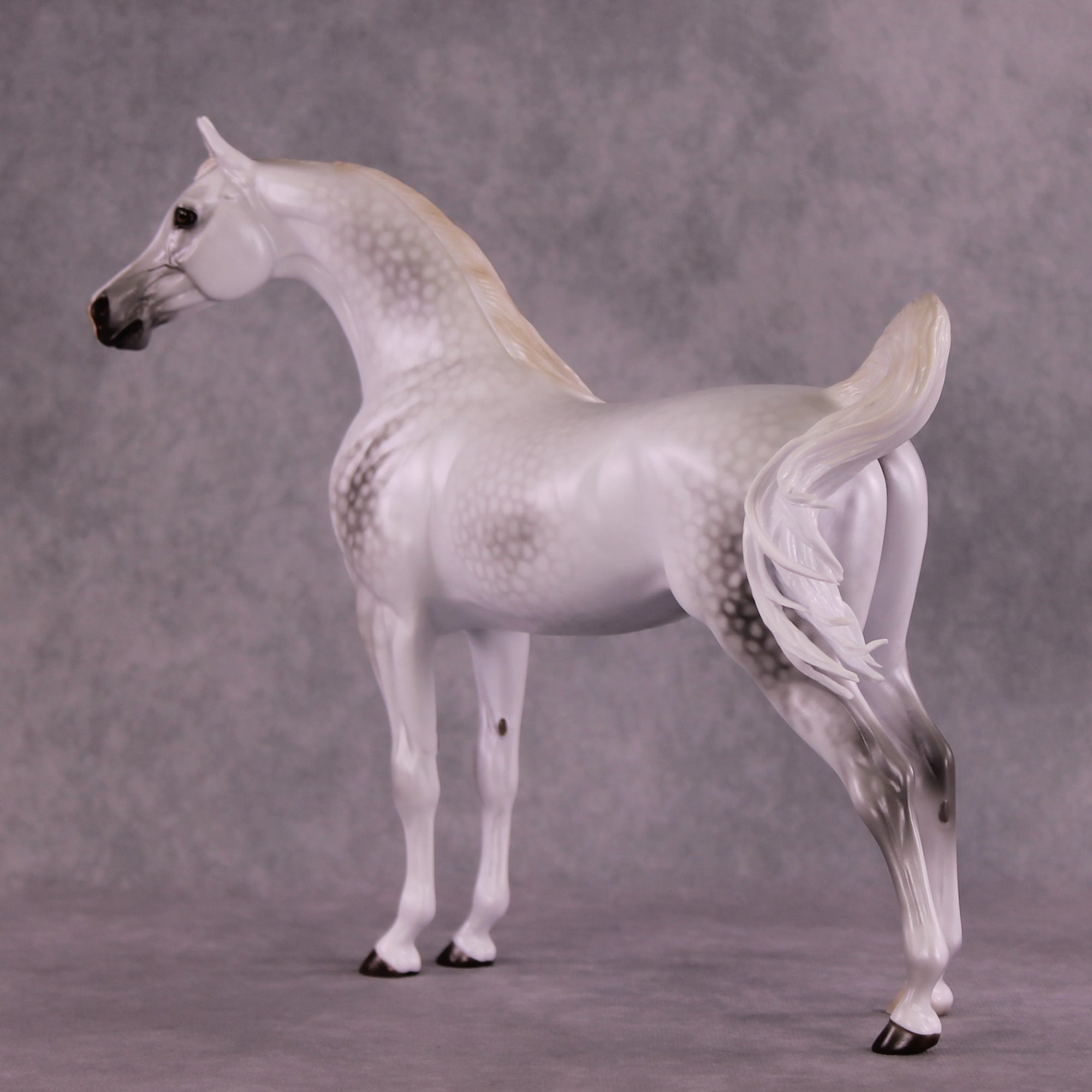 "Moonglow" OOAK FCM Arabian by Ellen Robbins EQ25 Best Offer 07/15/25