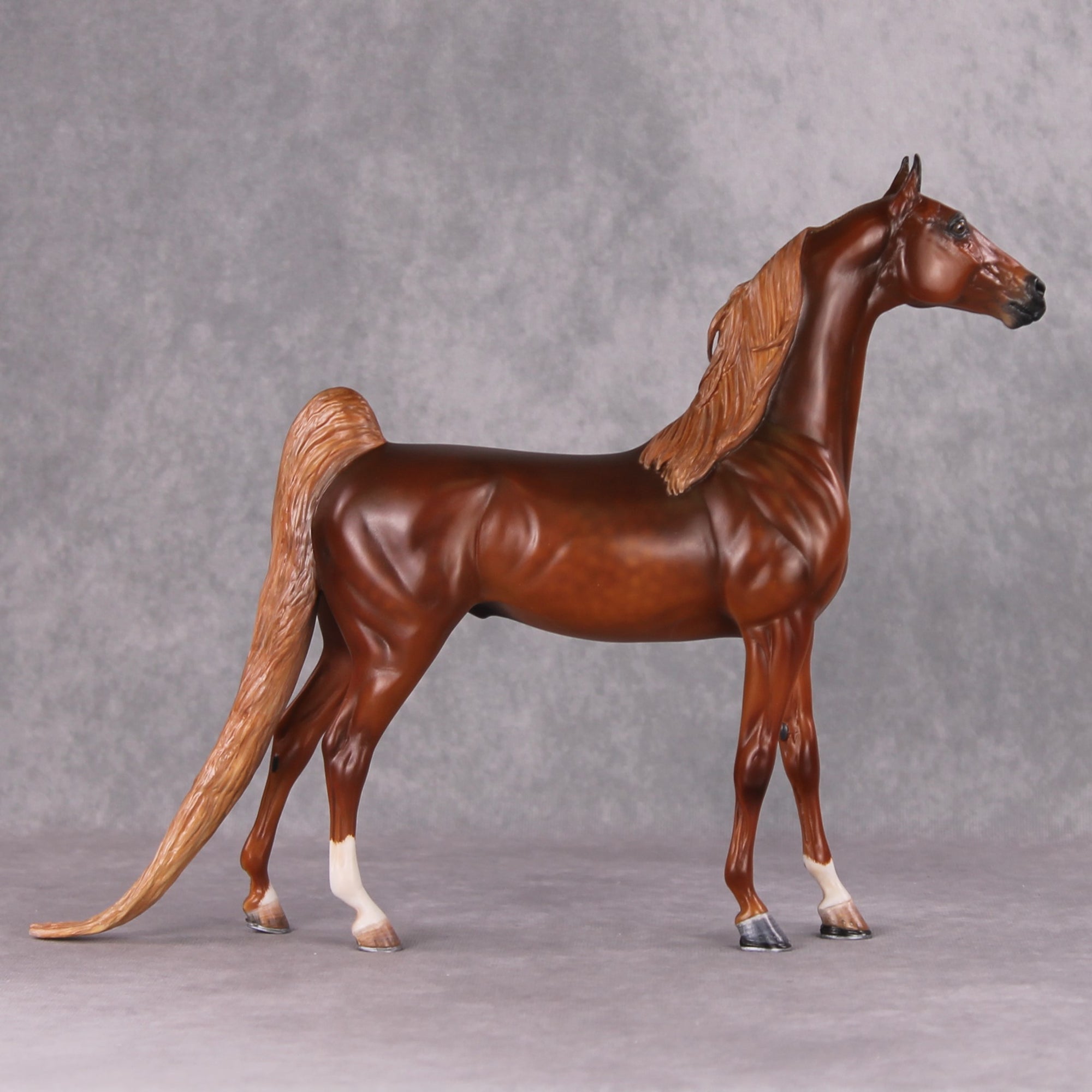 Emphasis OOAK Extreme Custom Arabian Stallion to a Dappled Chestnut Saddlebred By Kylee Parks Best Offers 12/17/24