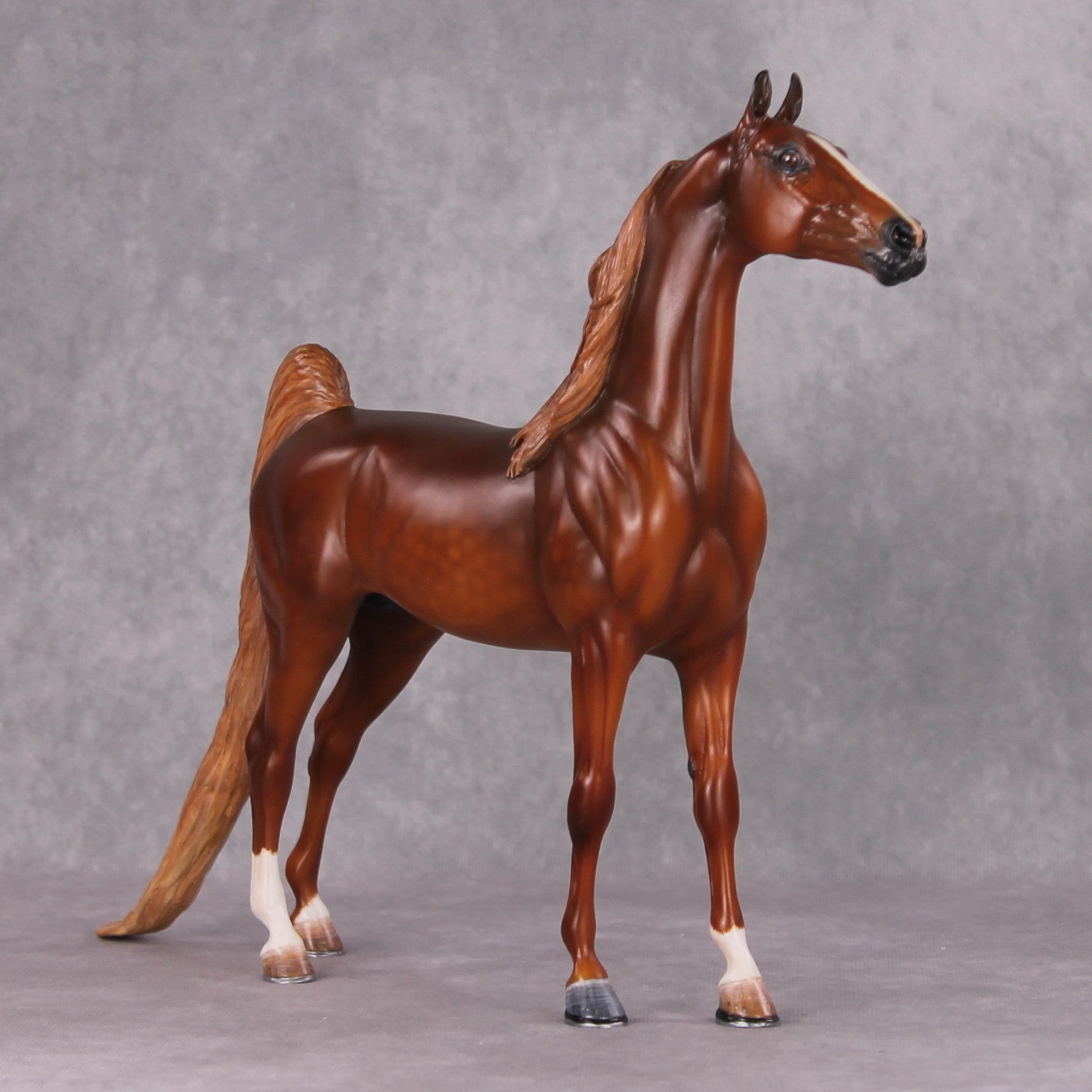 Emphasis OOAK Extreme Custom Arabian Stallion to a Dappled Chestnut Saddlebred By Kylee Parks Best Offers 12/17/24