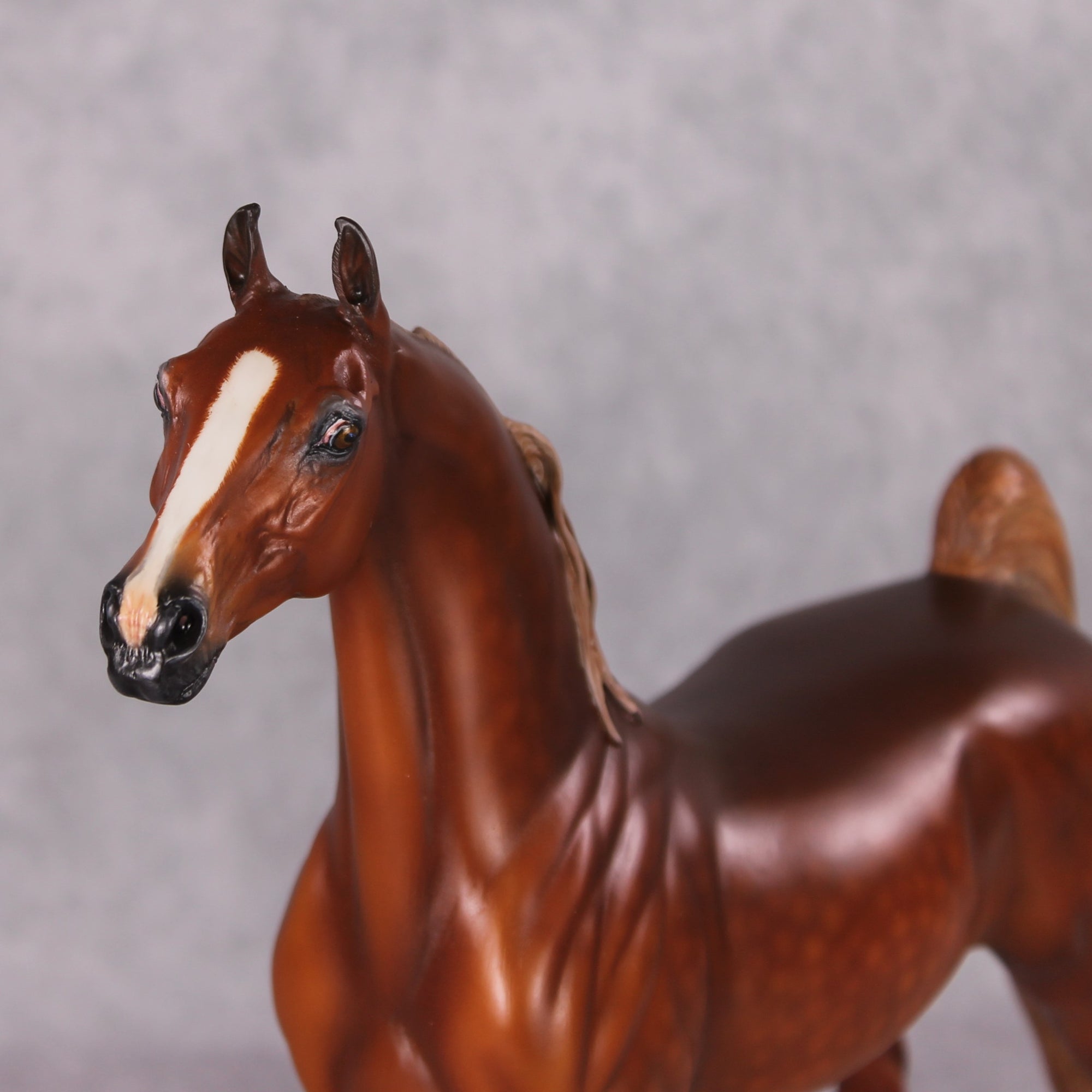 Emphasis OOAK Extreme Custom Arabian Stallion to a Dappled Chestnut Saddlebred By Kylee Parks Best Offers 12/17/24