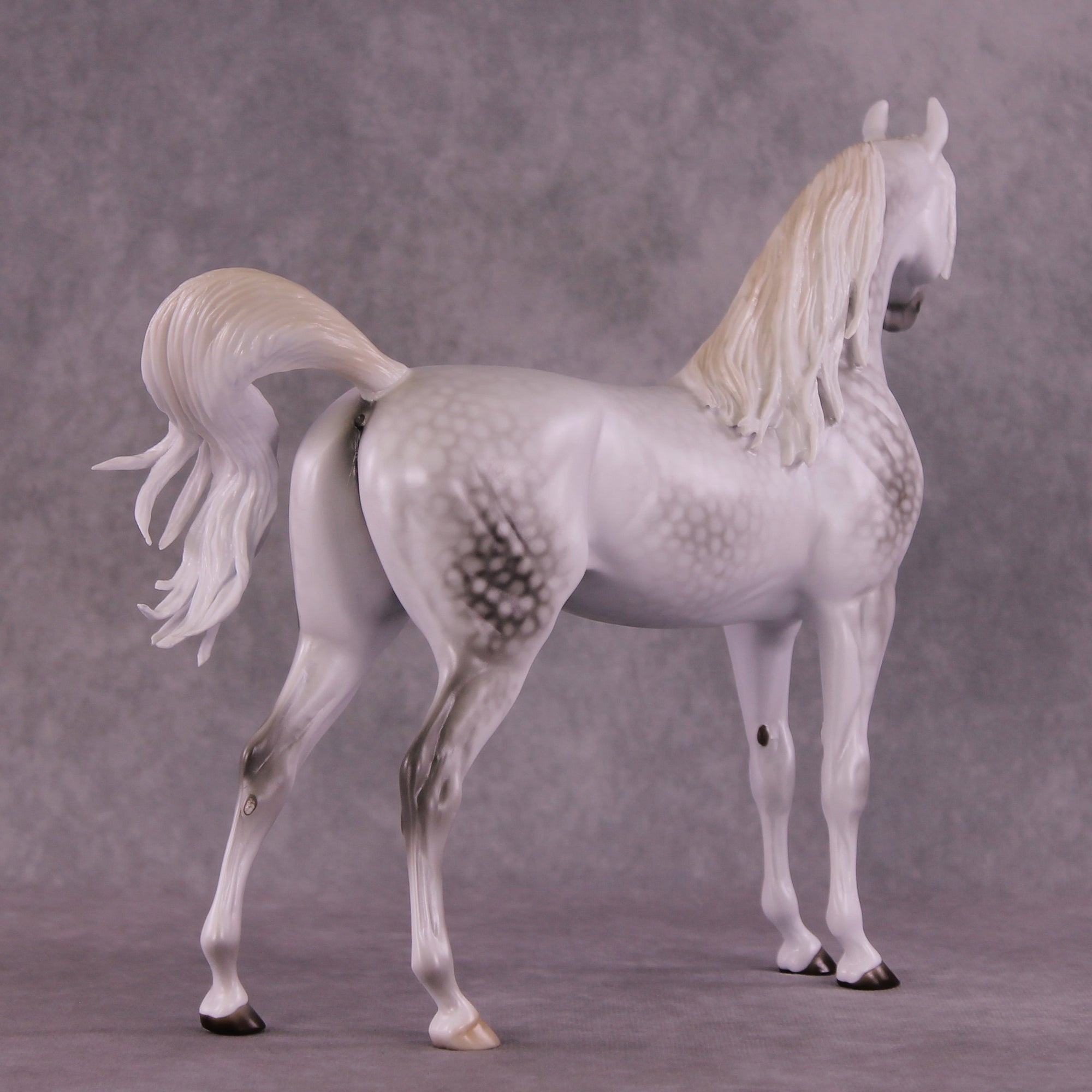 "Moonglow" OOAK FCM Arabian by Ellen Robbins EQ25 Best Offer 07/15/25