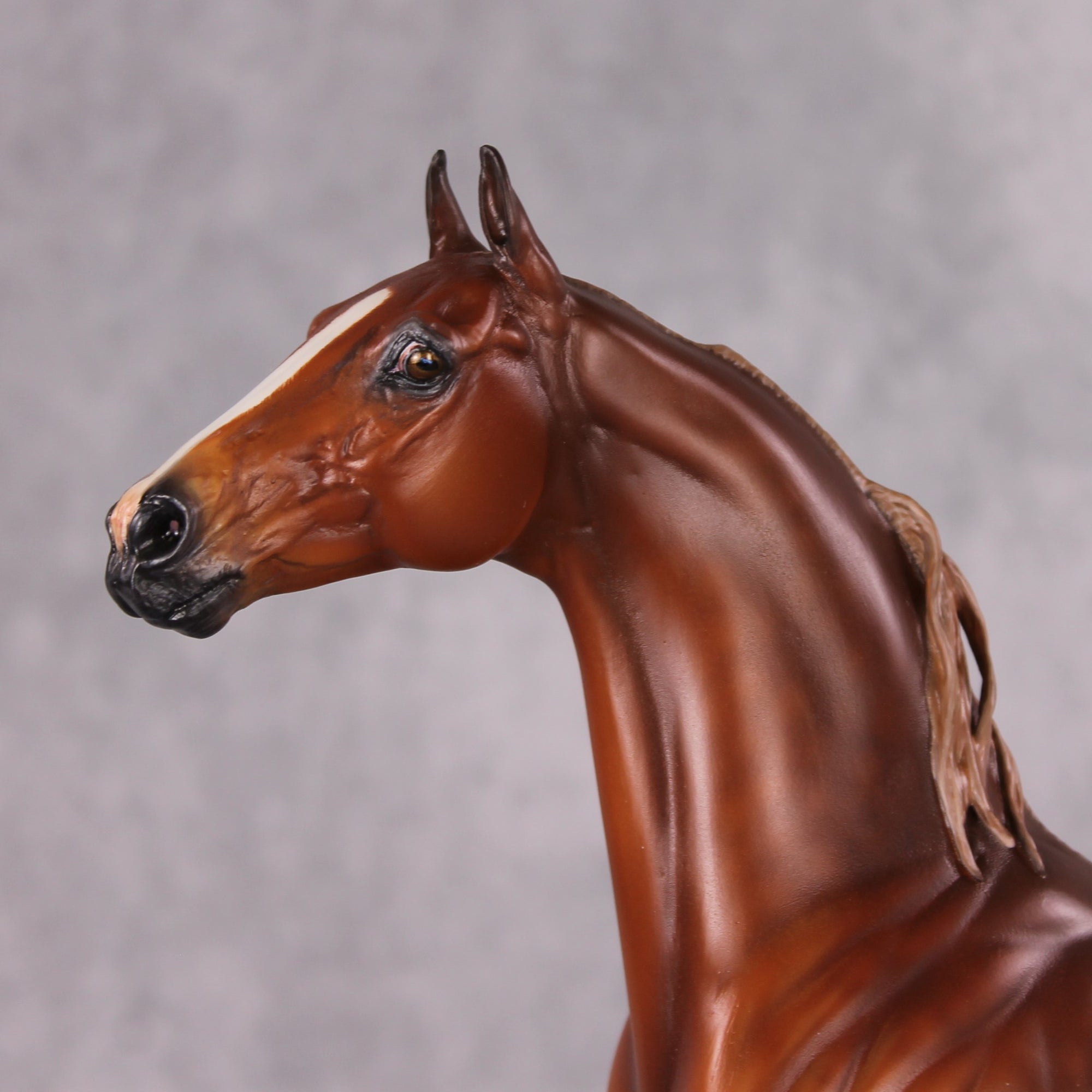 Emphasis OOAK Extreme Custom Arabian Stallion to a Dappled Chestnut Saddlebred By Kylee Parks Best Offers 12/17/24