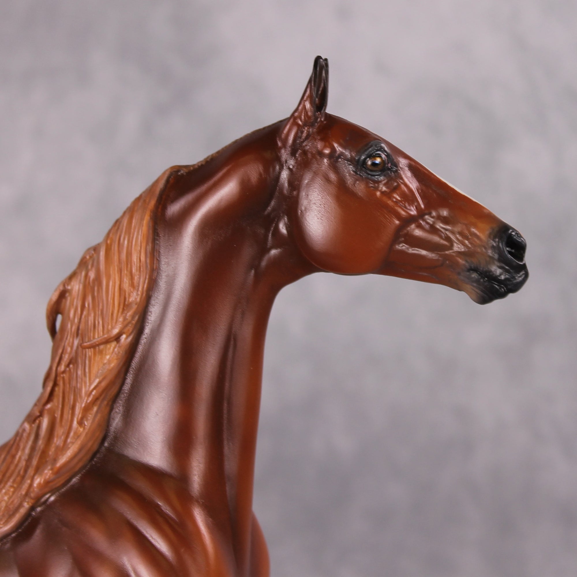 Emphasis OOAK Extreme Custom Arabian Stallion to a Dappled Chestnut Saddlebred By Kylee Parks Best Offers 12/17/24