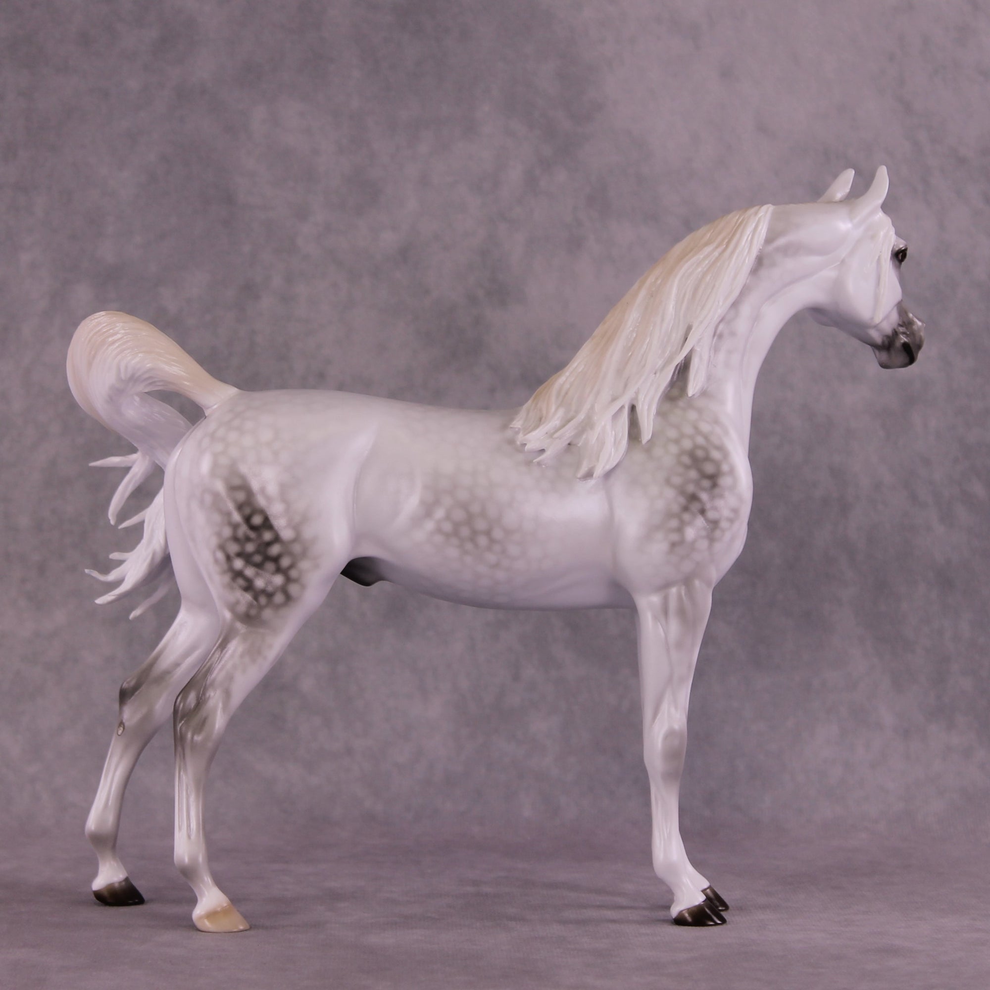 "Moonglow" OOAK FCM Arabian by Ellen Robbins EQ25 Best Offer 07/15/25