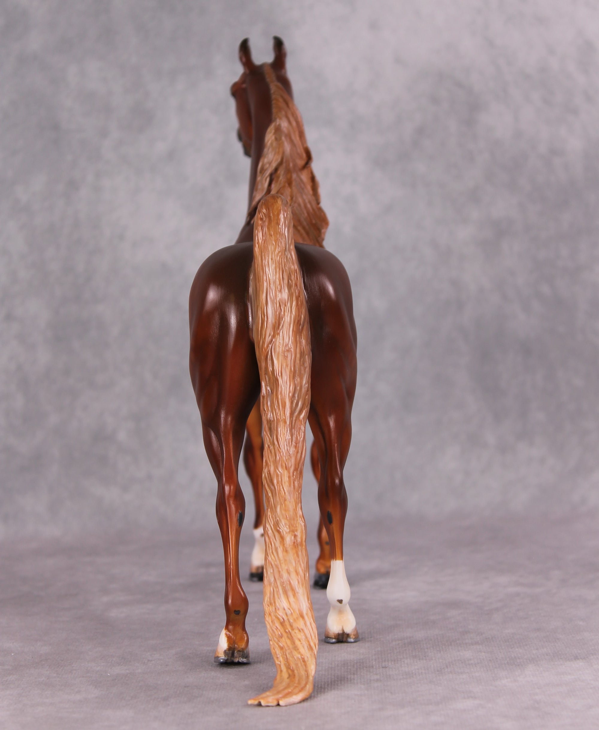 Emphasis OOAK Extreme Custom Arabian Stallion to a Dappled Chestnut Saddlebred By Kylee Parks Best Offers 12/17/24