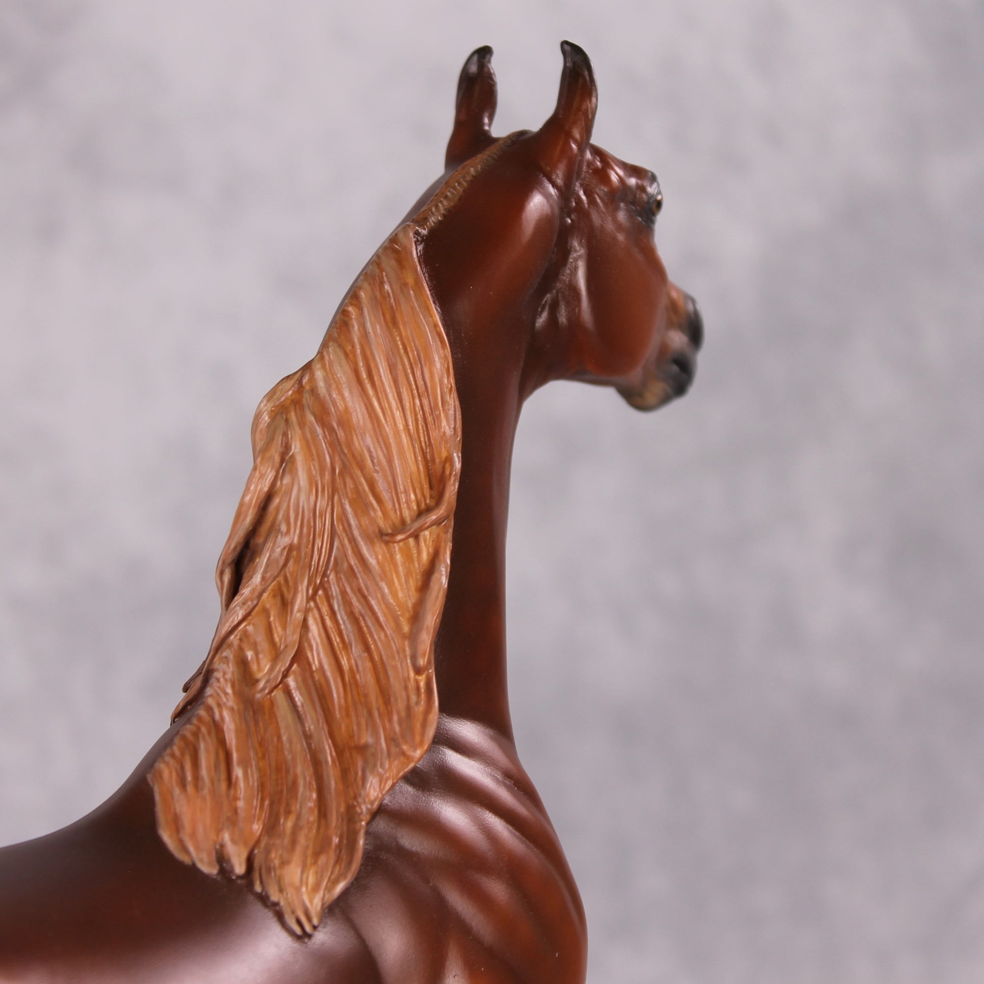 Emphasis OOAK Extreme Custom Arabian Stallion to a Dappled Chestnut Saddlebred By Kylee Parks Best Offers 12/17/24