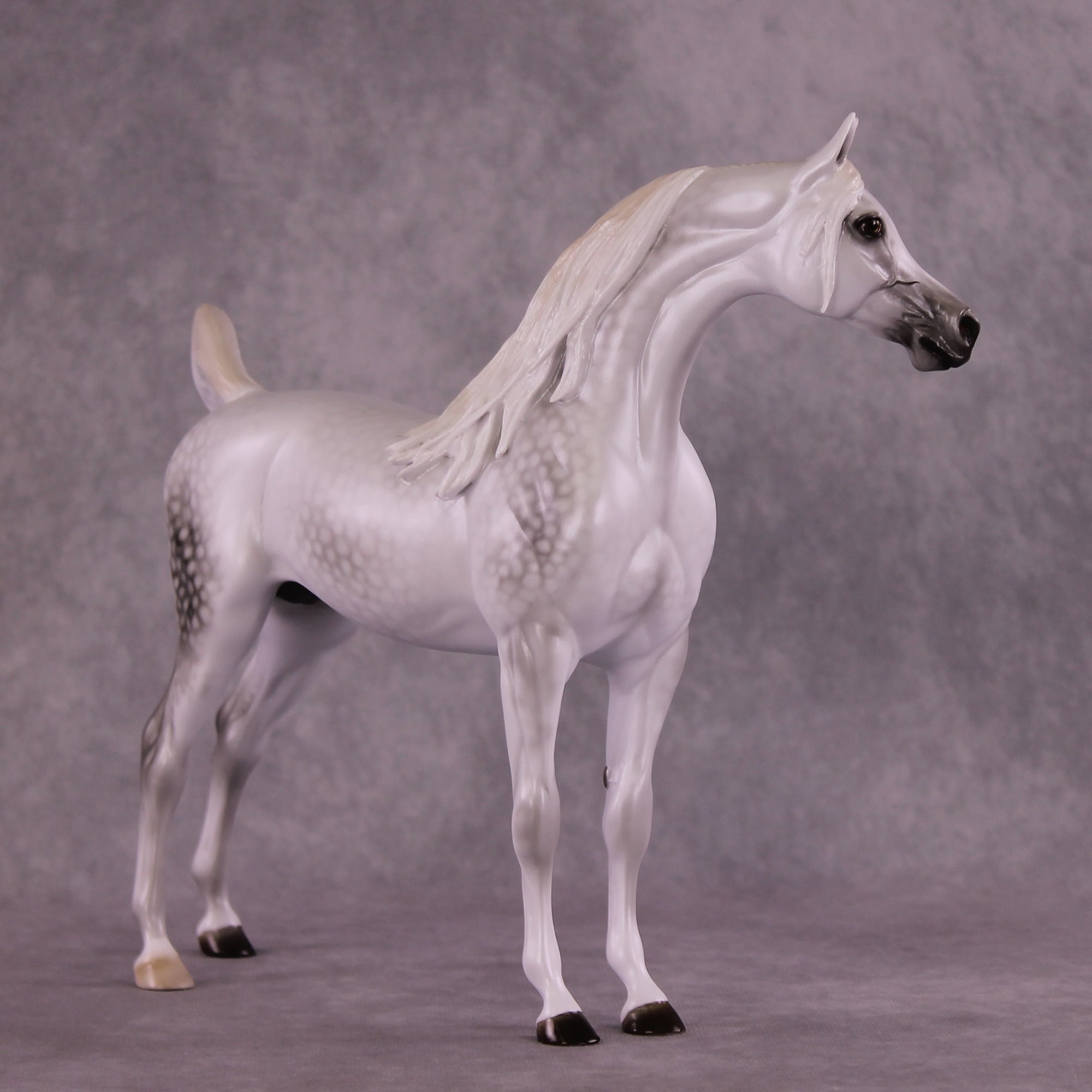 "Moonglow" OOAK FCM Arabian by Ellen Robbins EQ25 Best Offer 07/15/25