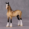 Hot Toddy OOAK Buckskin Draft Chip By Heather Bullach Best Offers 12/17/24